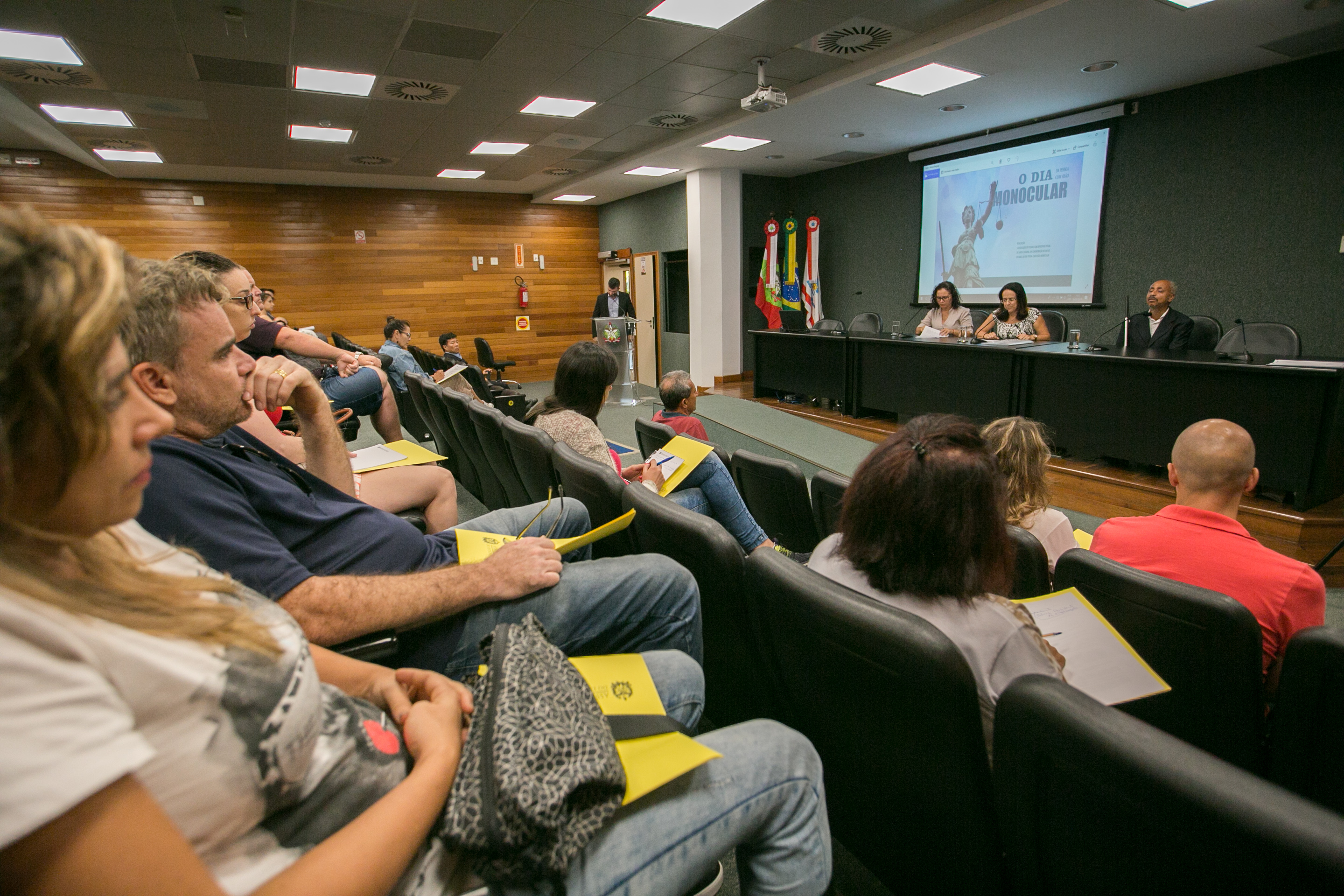 Seminário dia da pessoa com visão Monocular