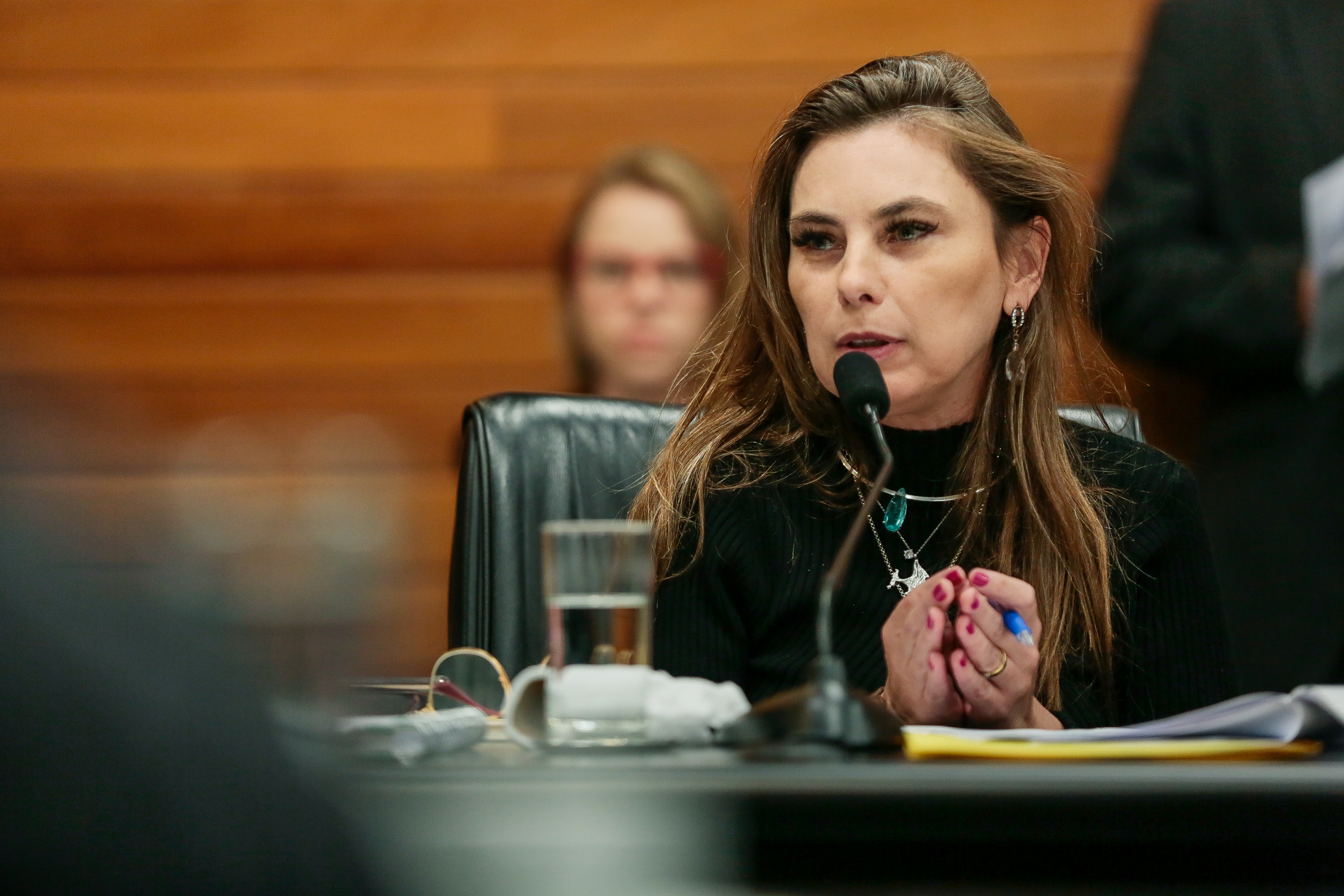 Deputada Paulinha (PDT)