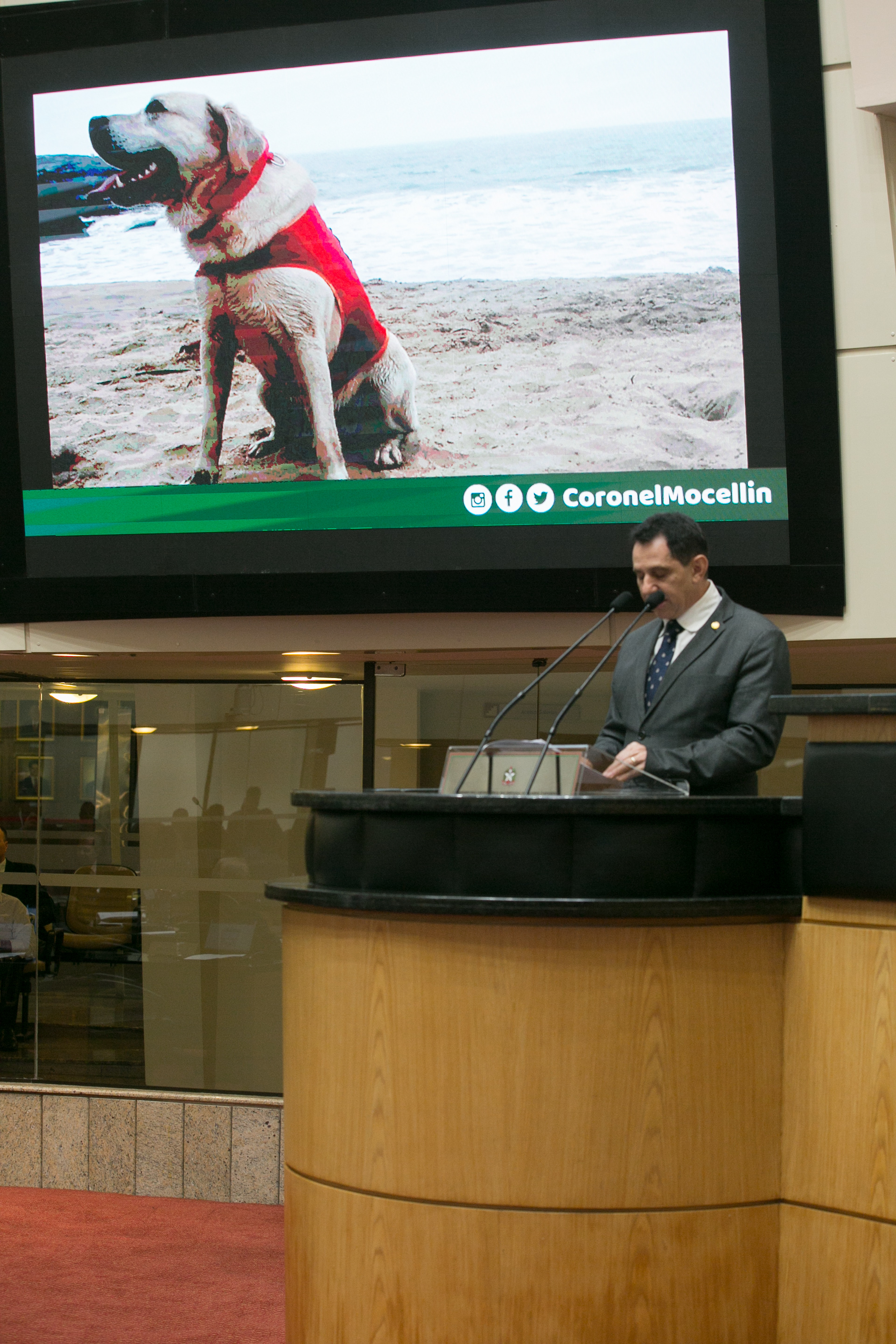 Deputado Coronel Mocellin (PSL)