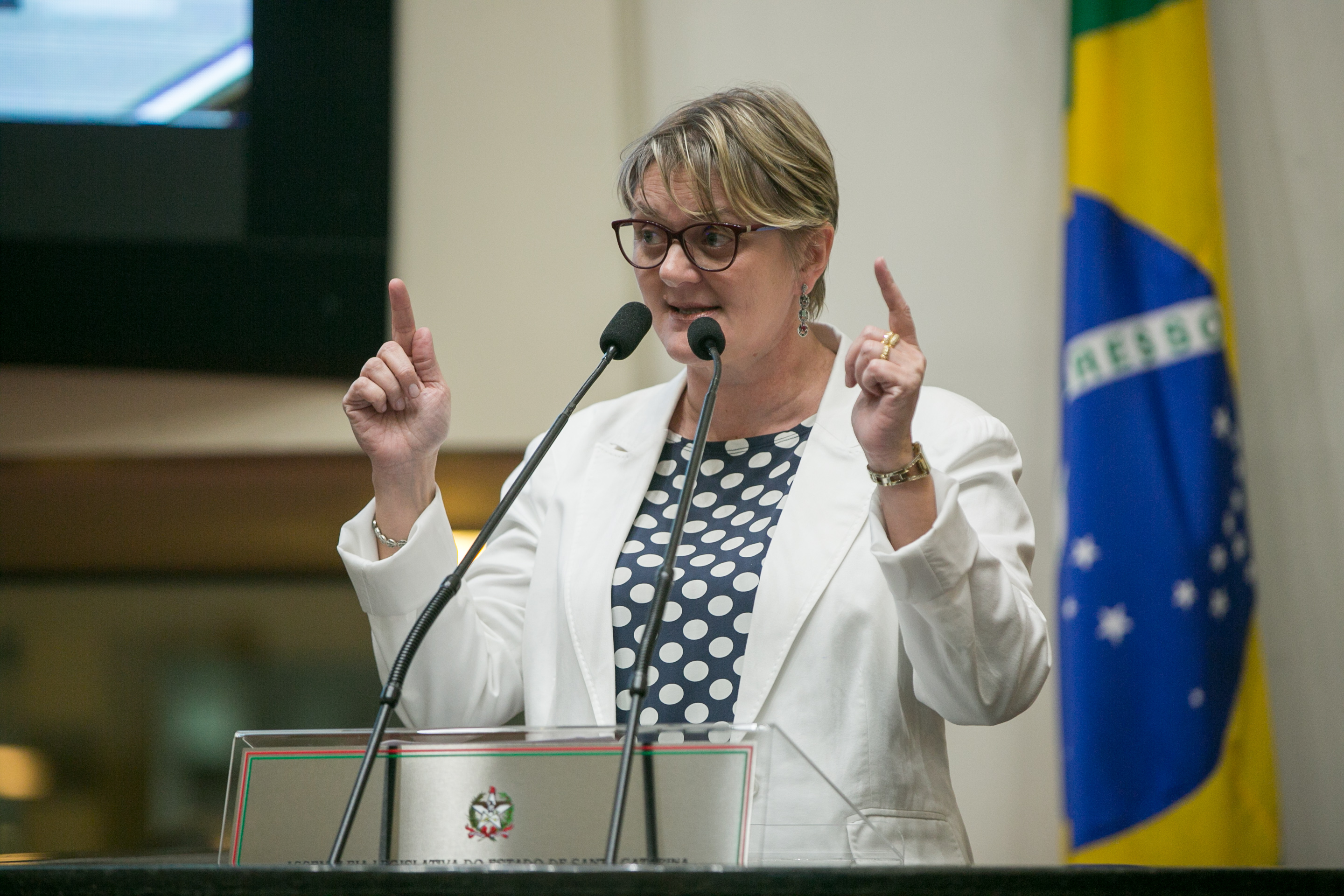Deputada Luciane Carminatti (PT)