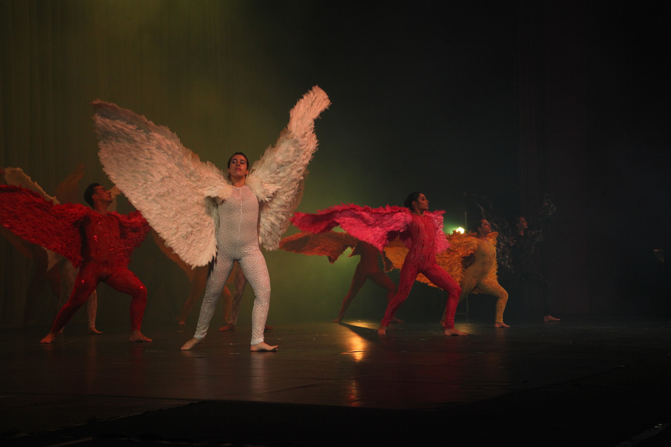 XI Festival Estadual Nossa Arte em Joinville