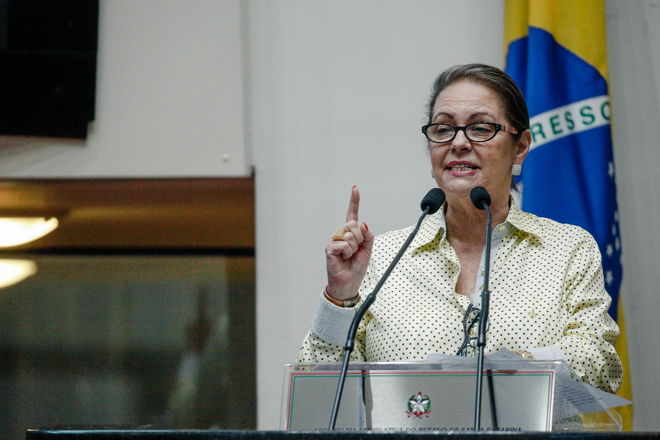 Deputada Ada de Luca (MDB)