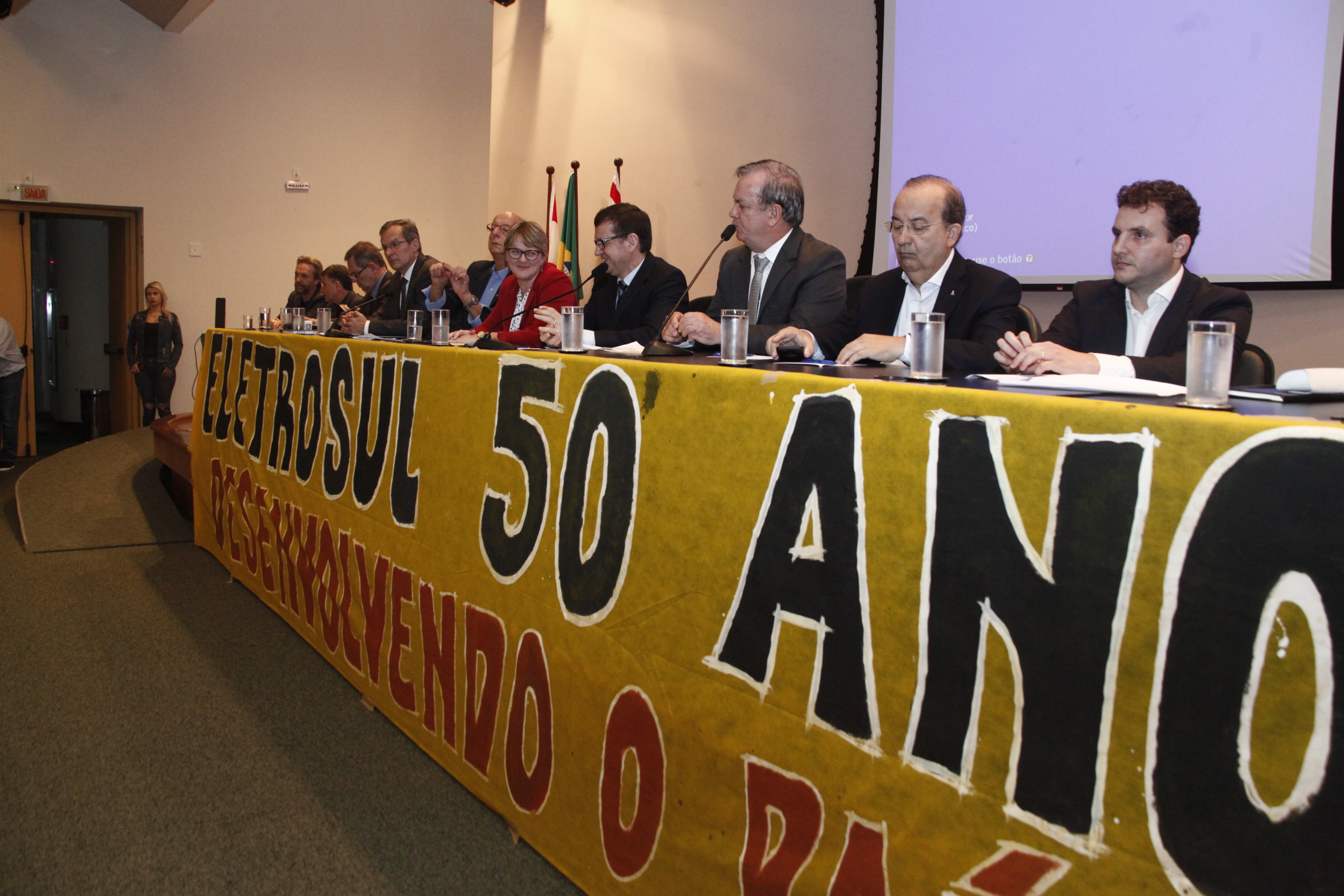 Audiência Pública para Discutir Fusão e Incorporação das Empresas ELETROSUL e CGTEE