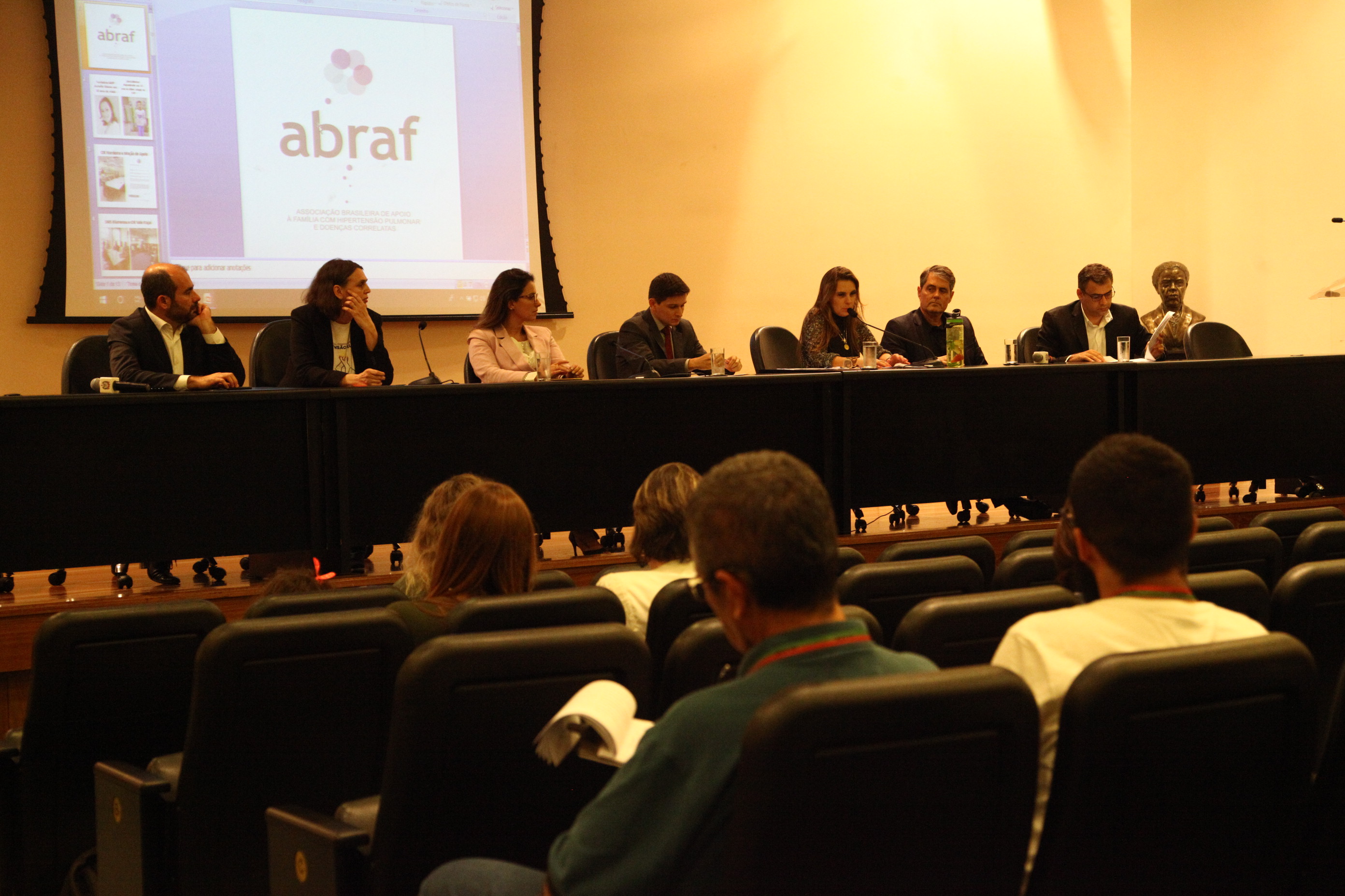 Audiência Pública - Hipertensão Pulmonar e Doenças Correlatas