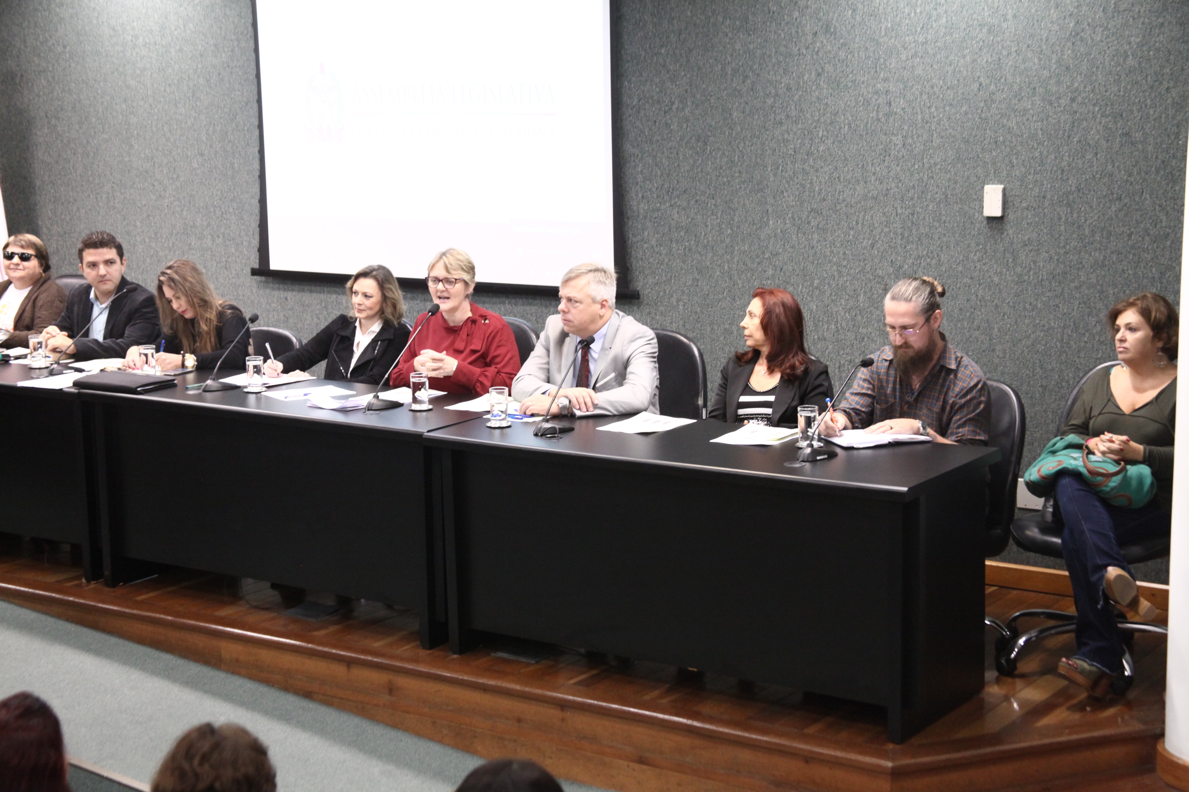 Lançamento Frente Parlamentar em Defesa de Políticas Públicas _ Assistência Social