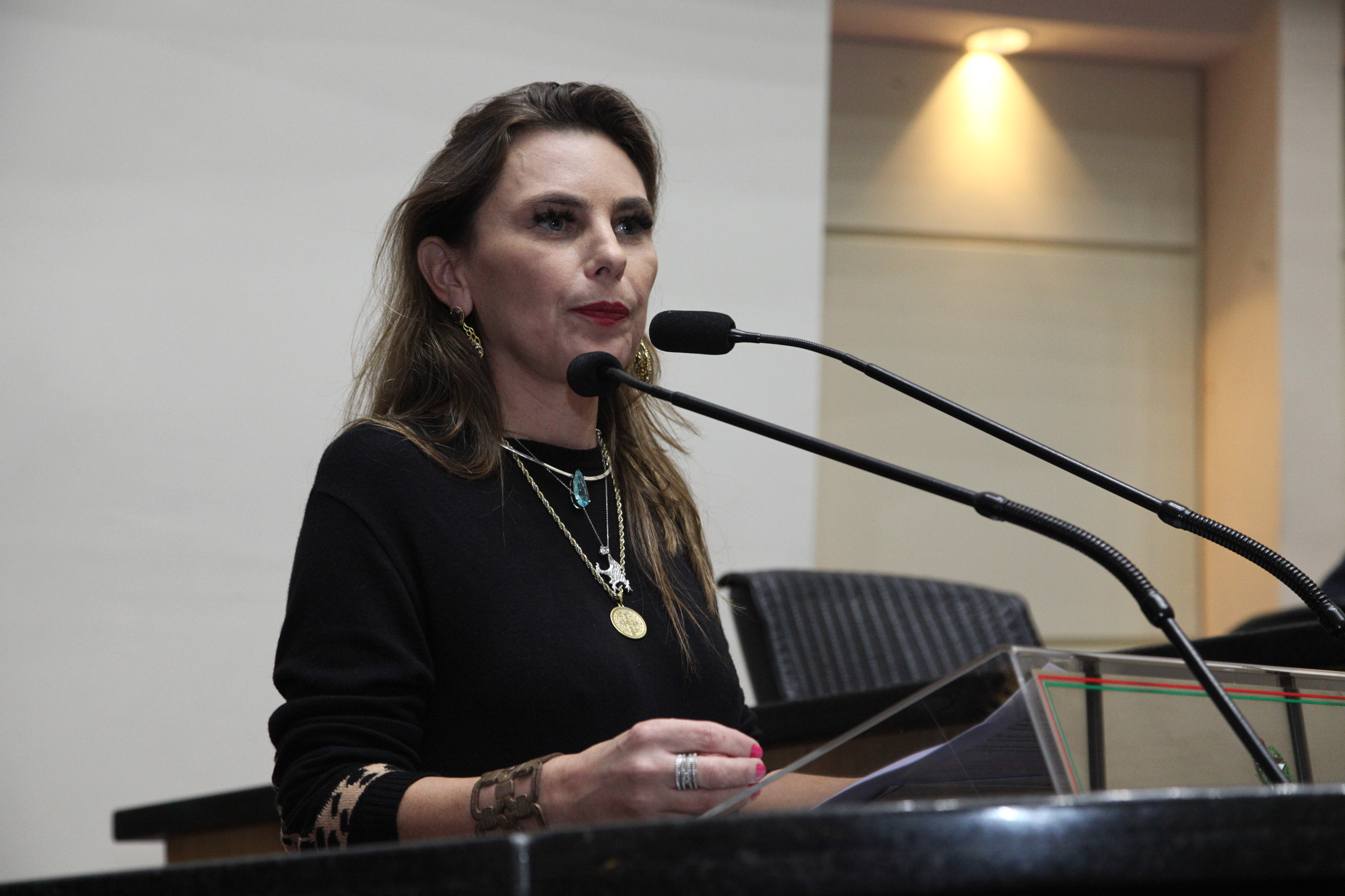 Sessão Plenária em 22/05/2019 - Deputada Ana Paula da Silva (PDT)