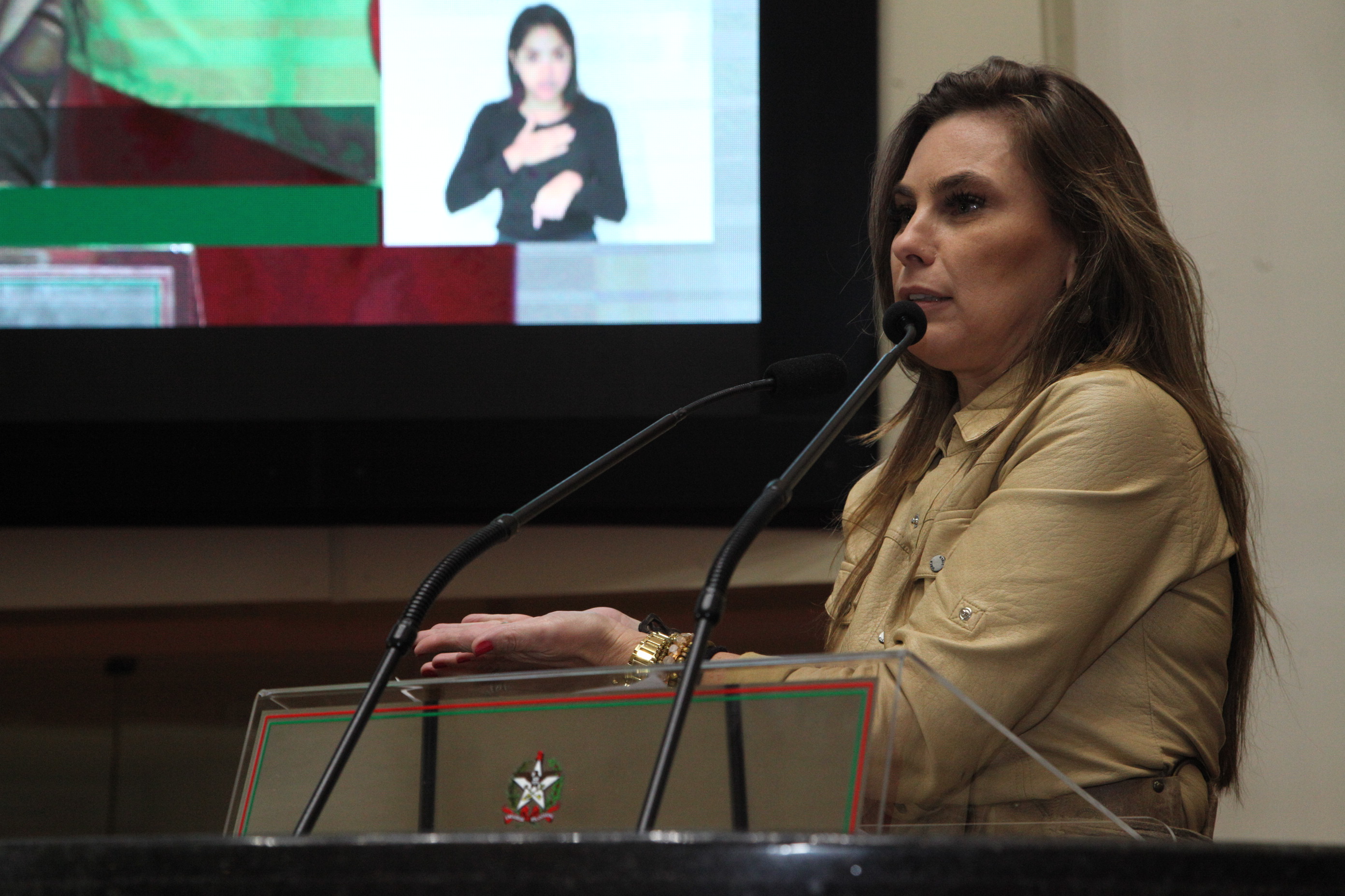 Sessão Plenária em 23/05/2019 - Deputada Ana Paula da Silva (PDT)
