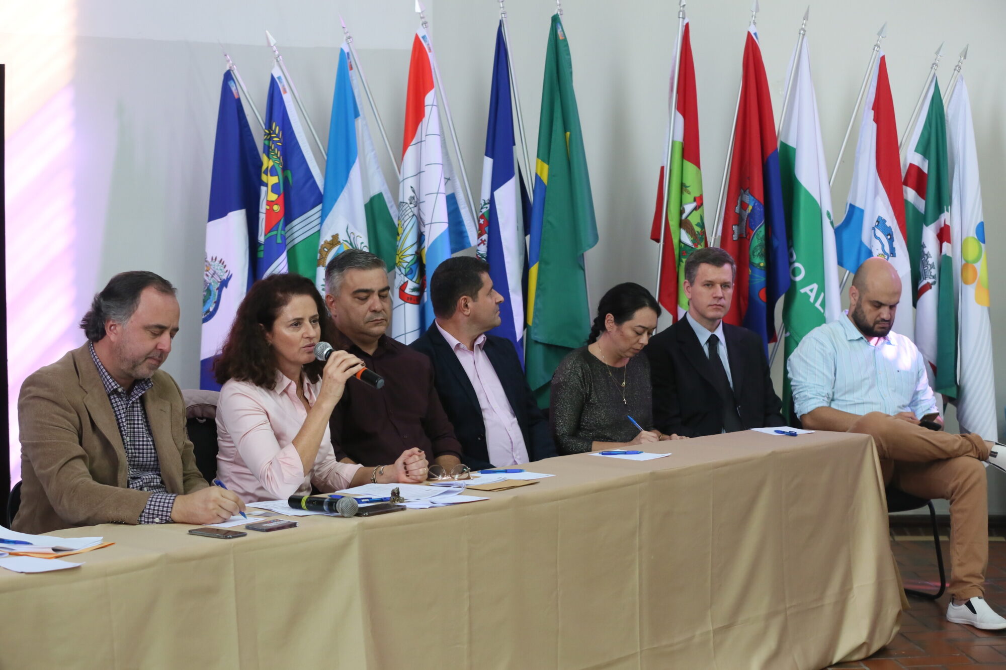 Audiência realizada em Joinville abriu ciclo de debates sobre estratégias de enfrentamento à violência contra a mulher