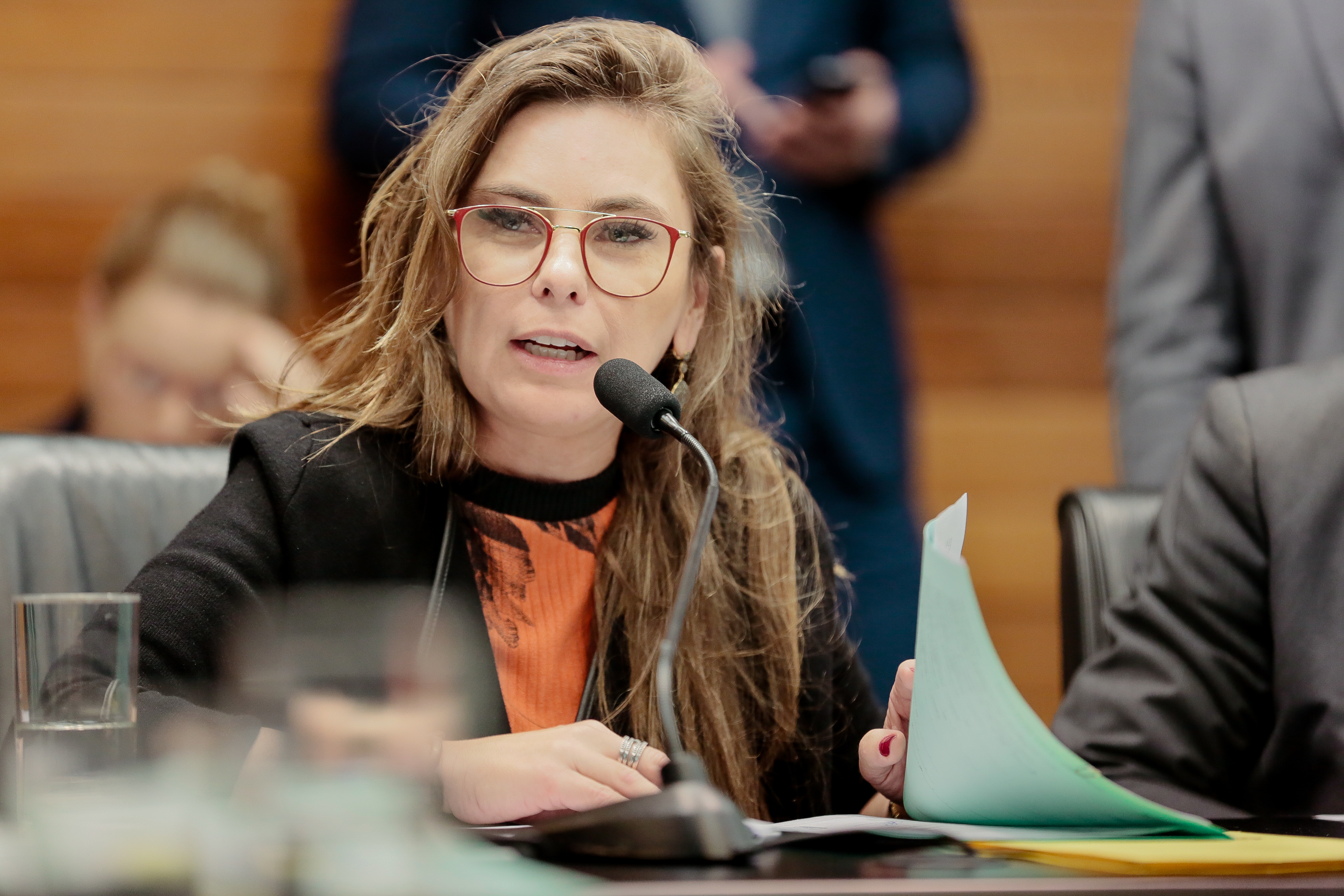 Deputada Paulinha (PDT)