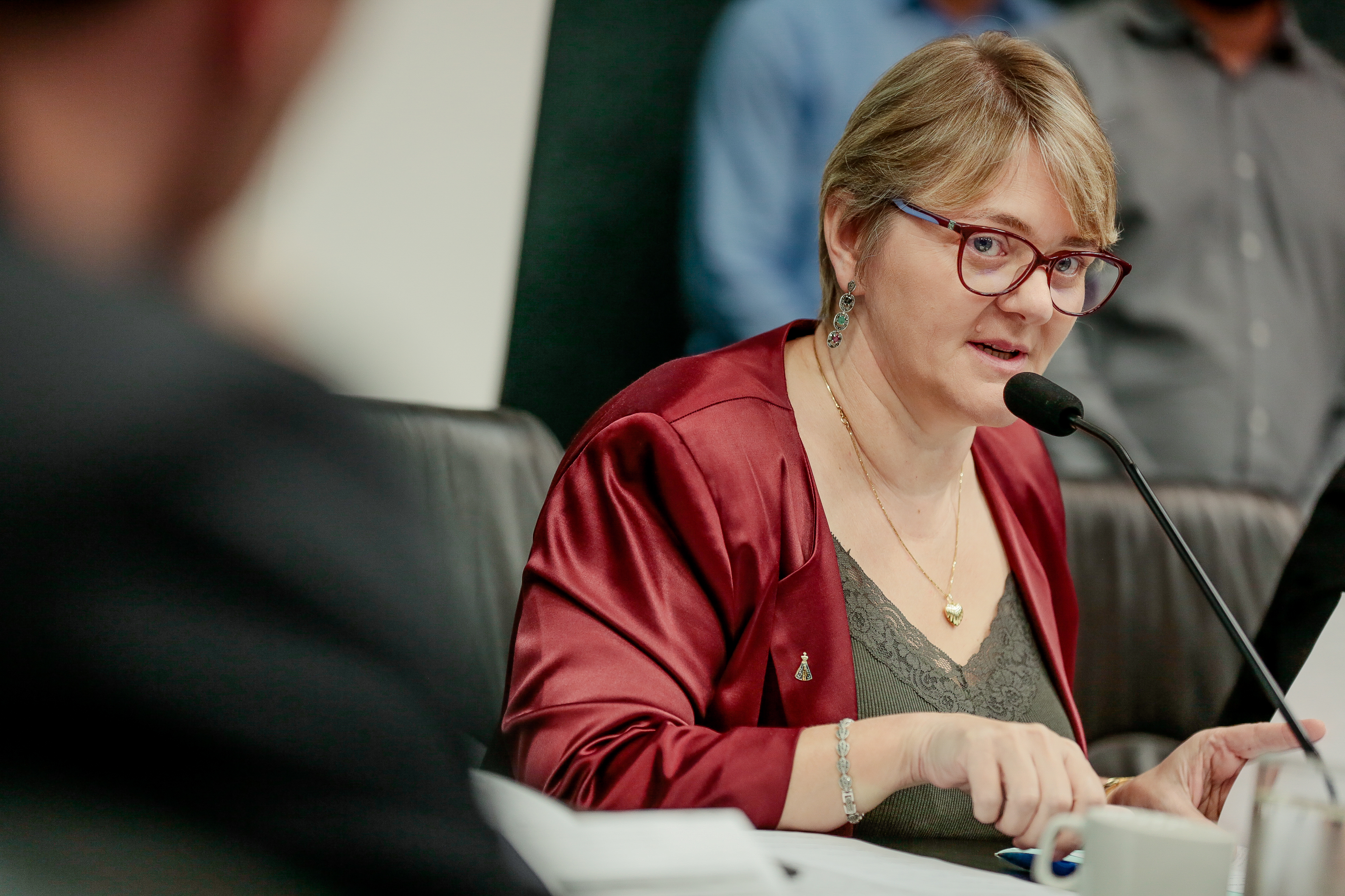 Deputada Luciane Carminatti (PT)
