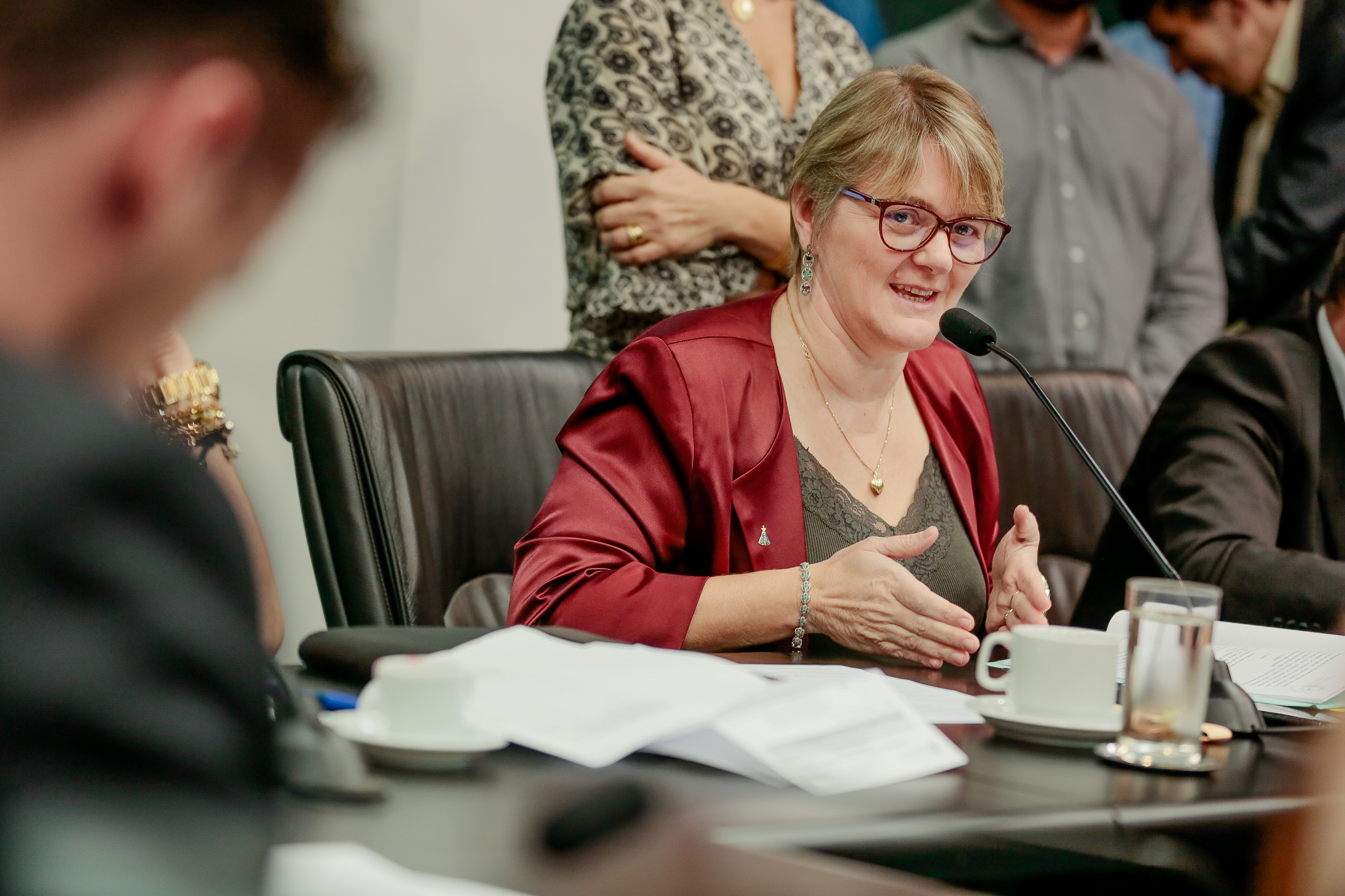 Deputada Luciane Carminatti (PT)