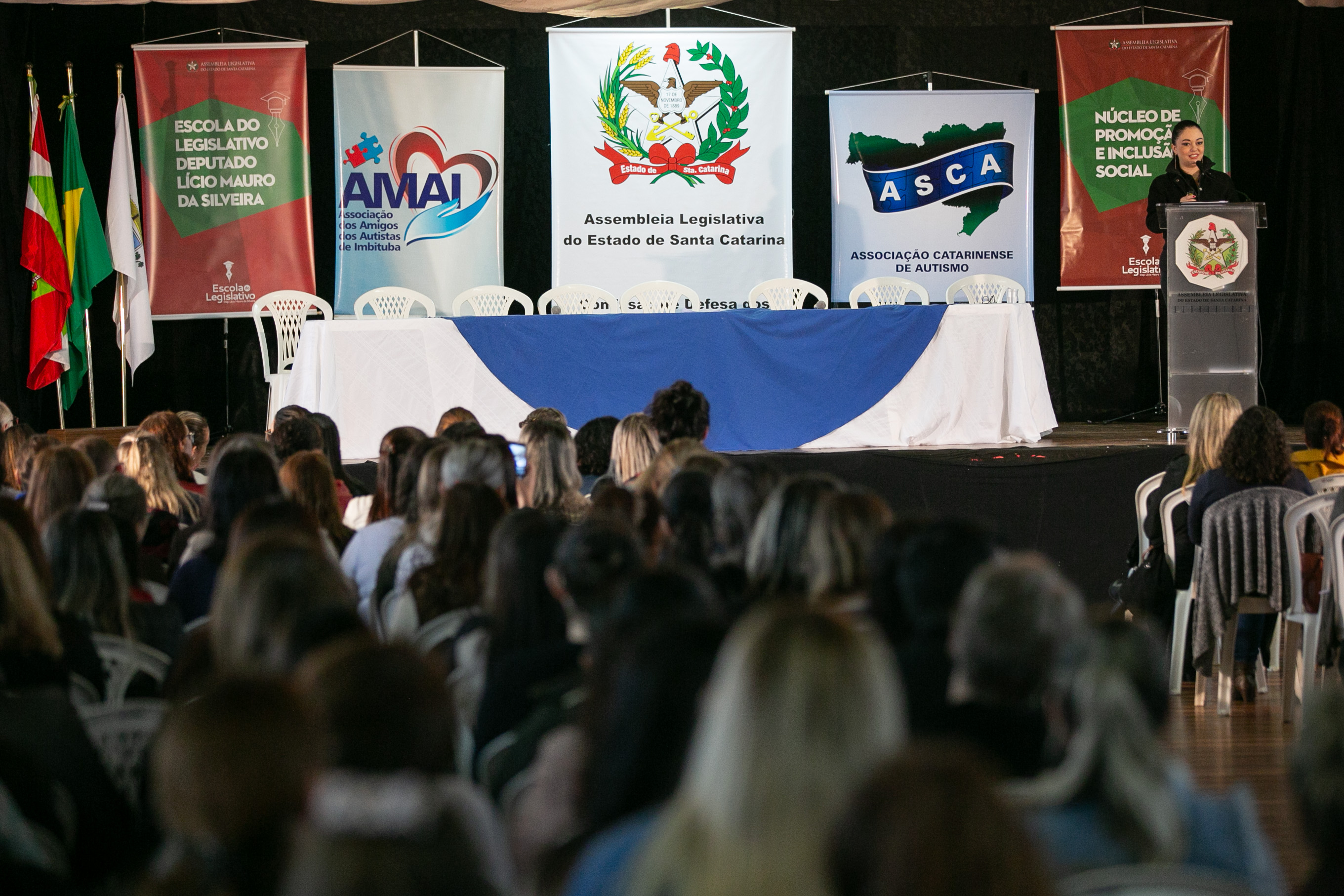 SEMINÁRIO – Autismo: Intervenção precoce, socialização e inclusão no mercado de trabalho