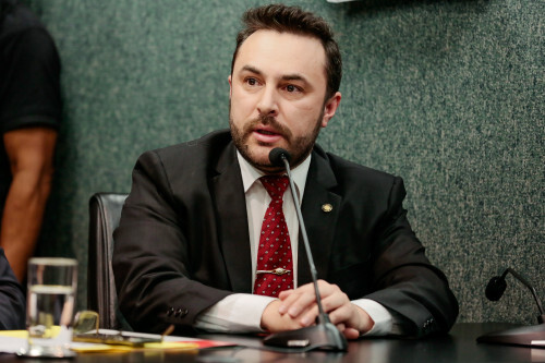 Marcius pede mais sinalização para reduzir acidentes com animais