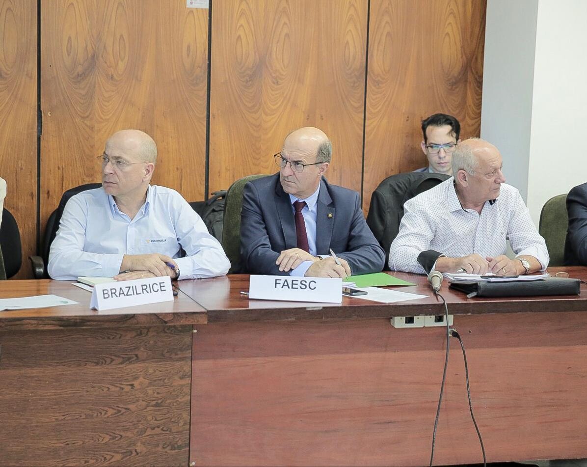 Agenda estratégica é apresentada na Câmara Nacional Setorial do Arroz