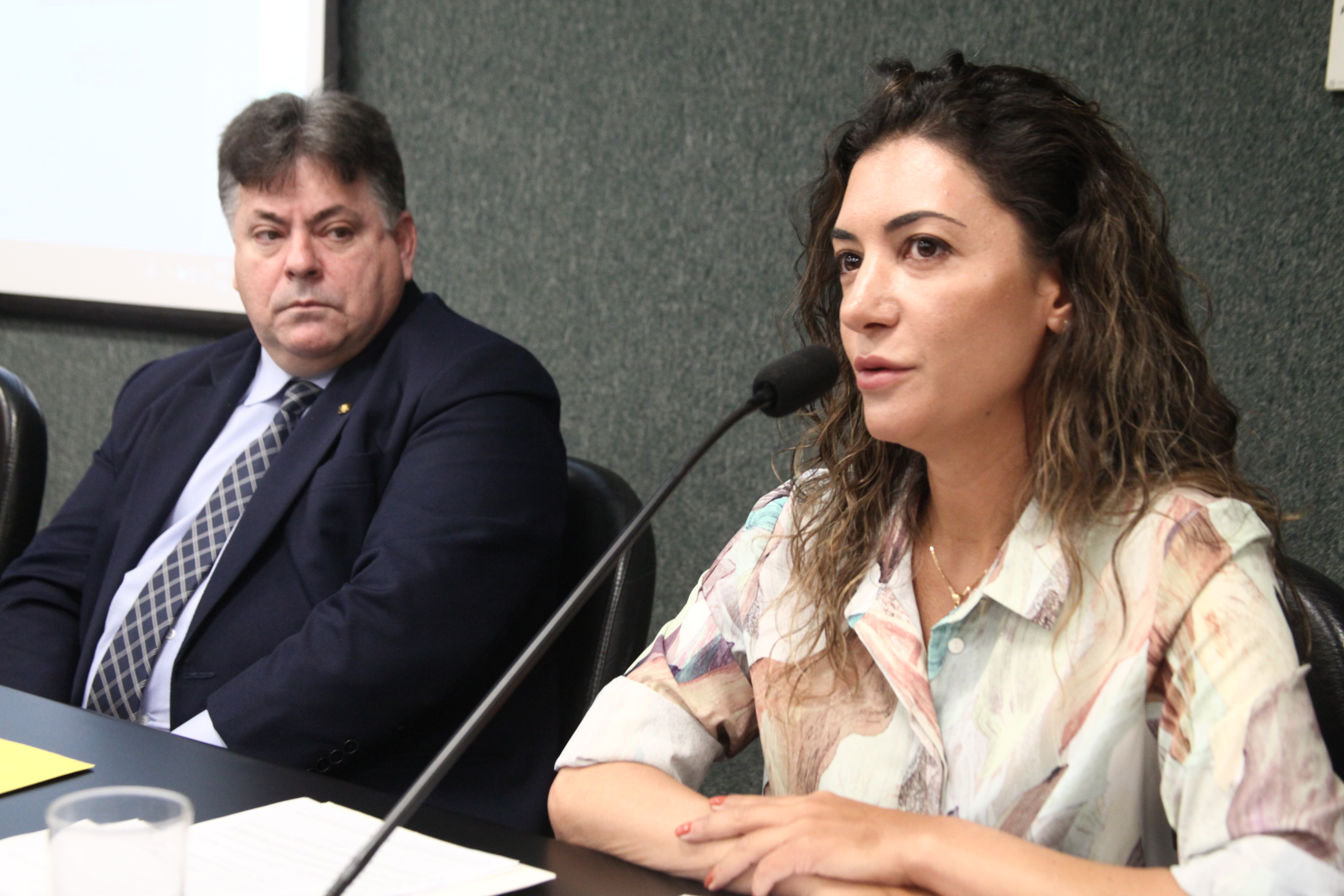 Comissão de Direitos Humanos