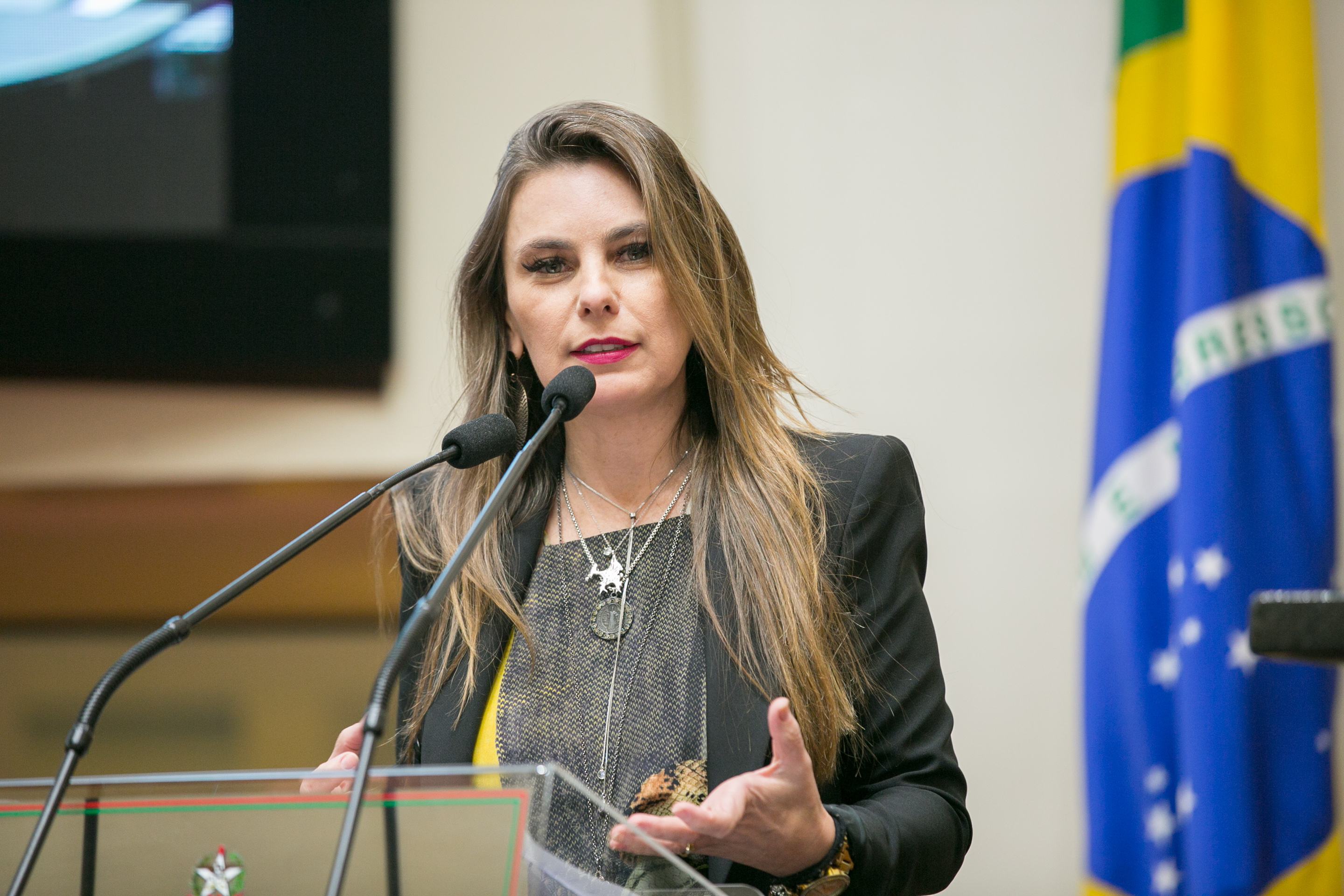 Deputada Paulinha (PDT)
