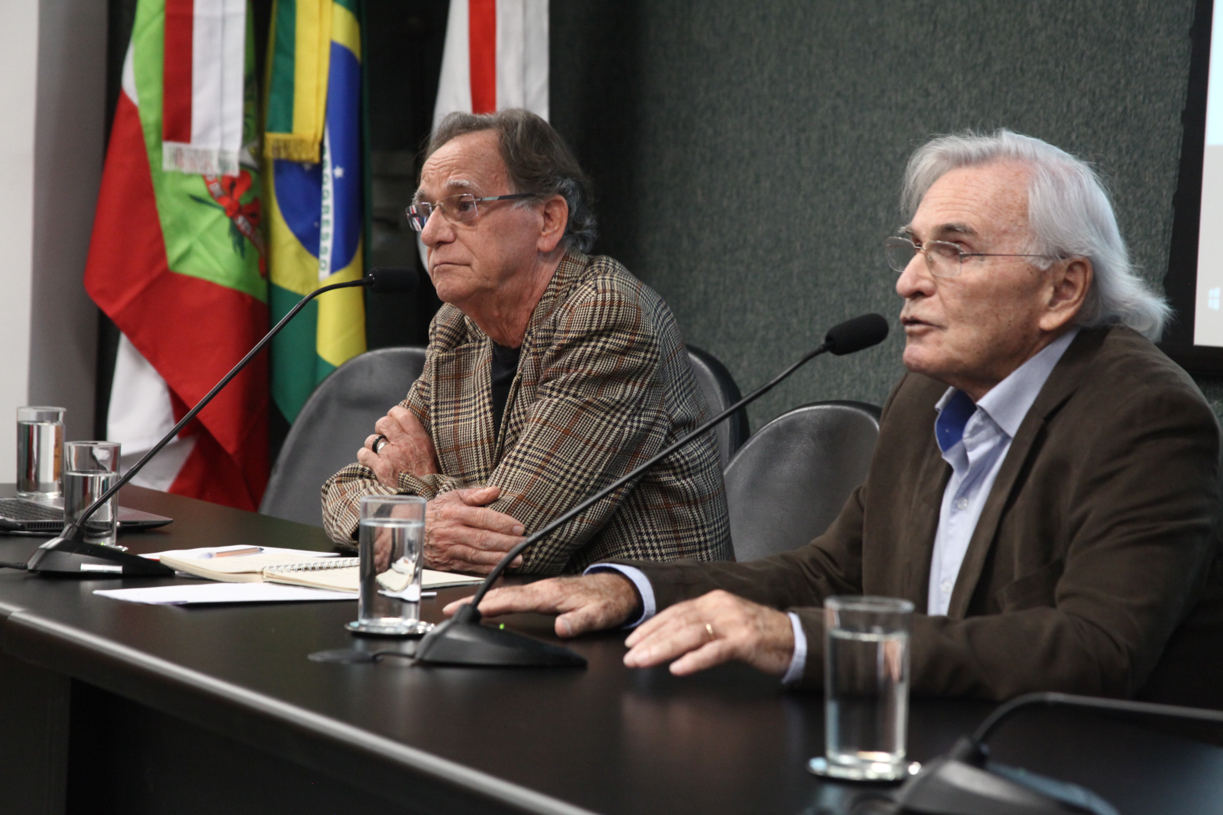 Seminário Meio Ambiente e Sociedade