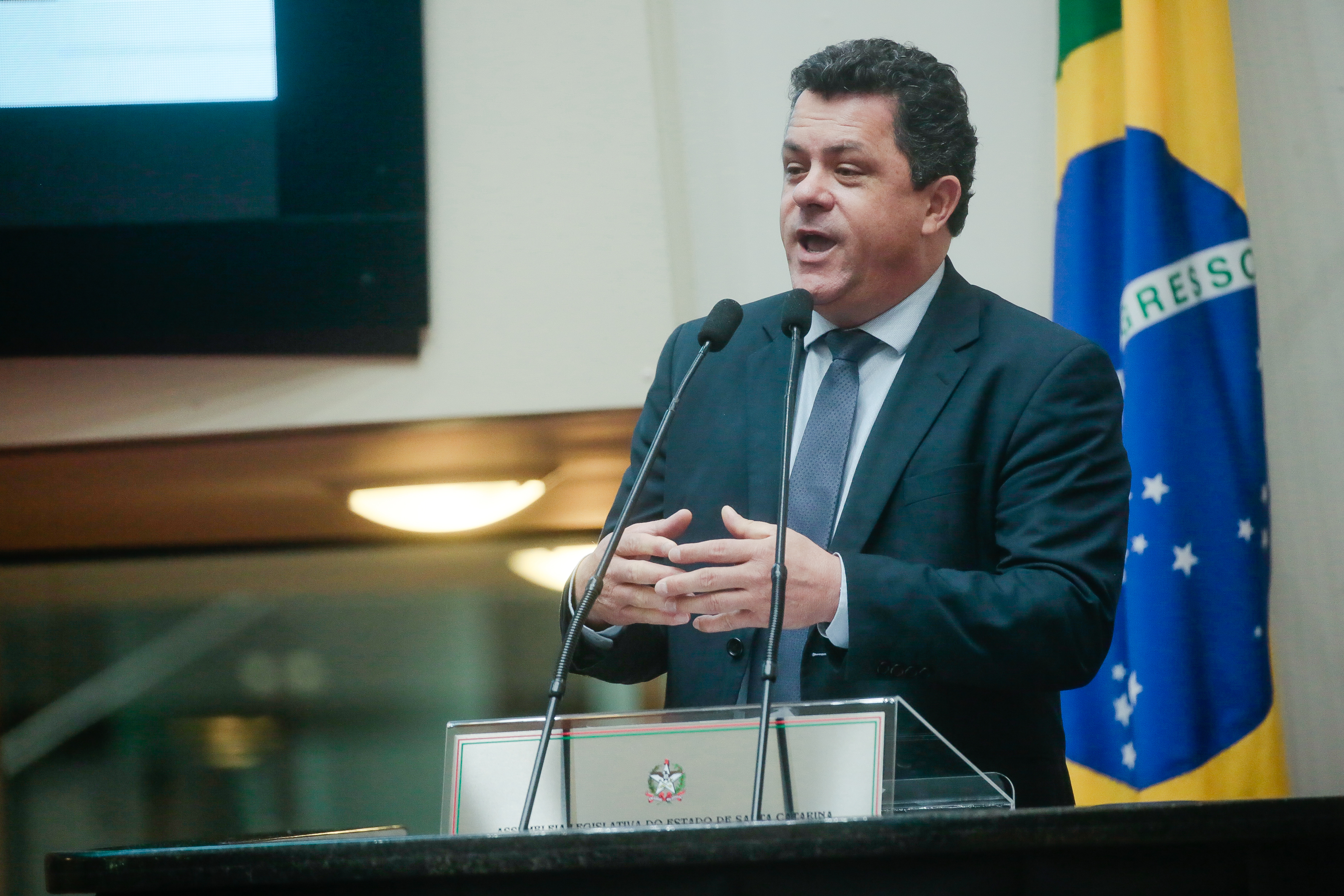 Deputado Ivan Naatz (PV)