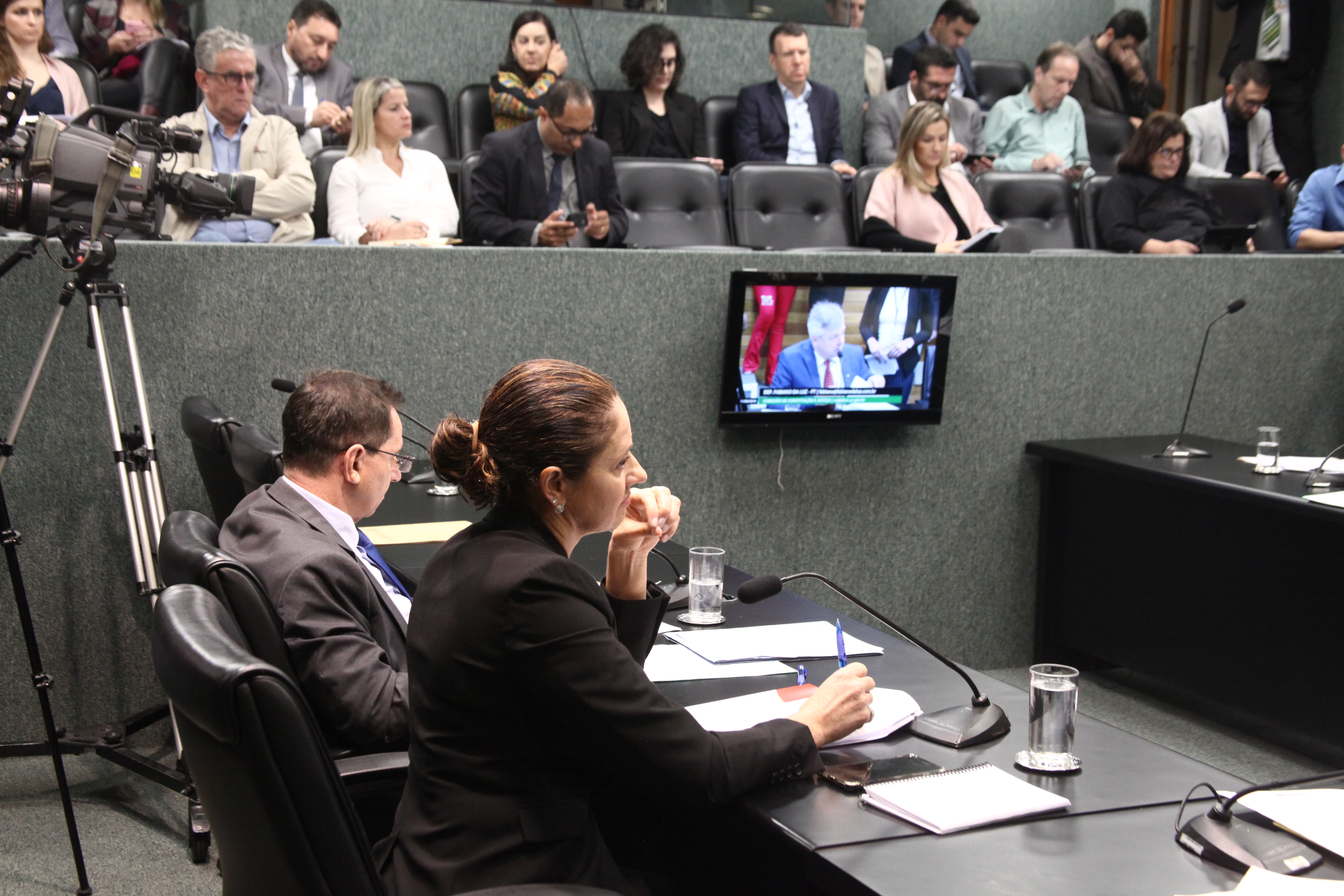 Comissão de Constituição e Justiça
