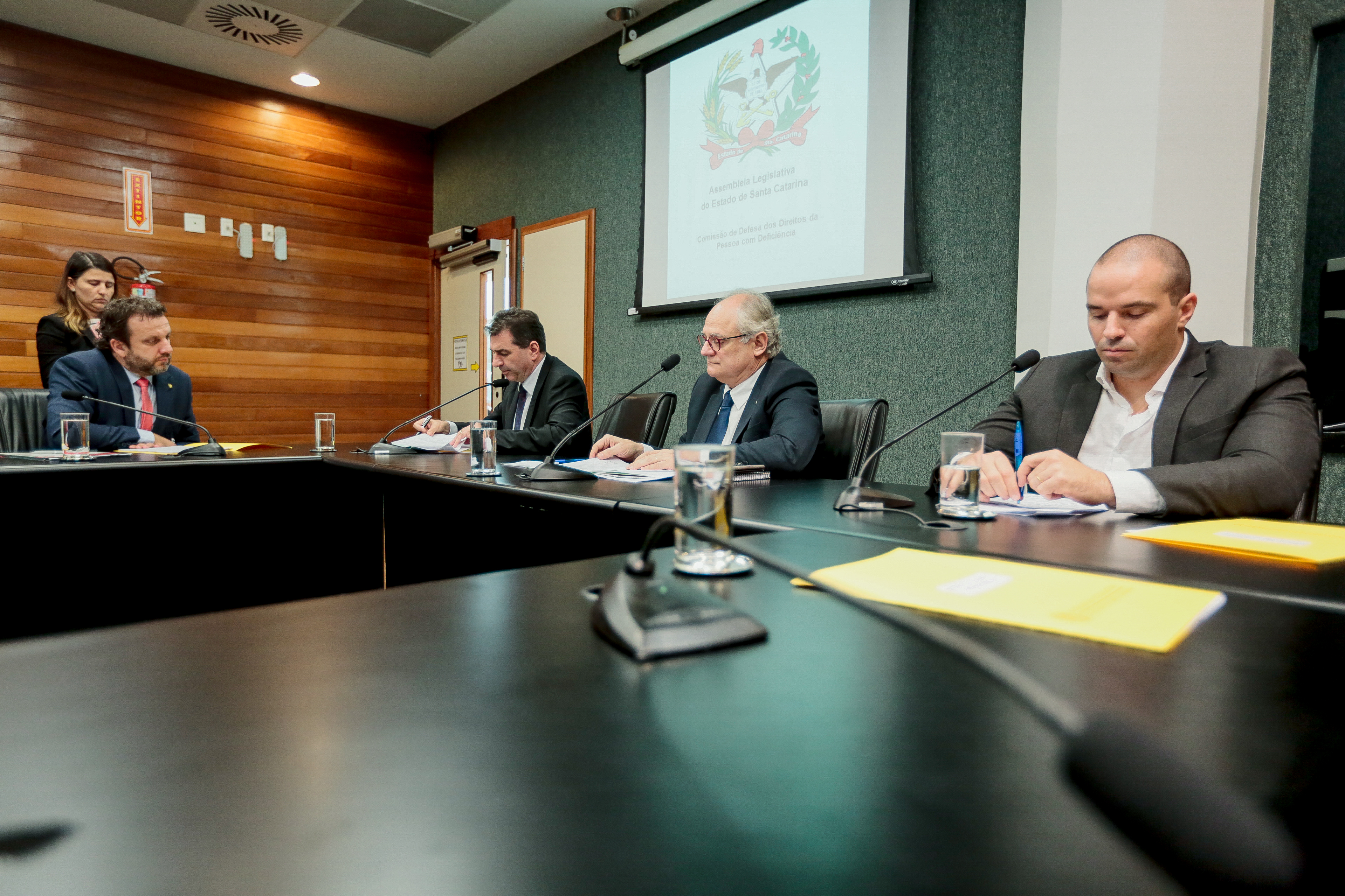 Comissão de Defesa dos Direitos da Pessoa com Deficiência