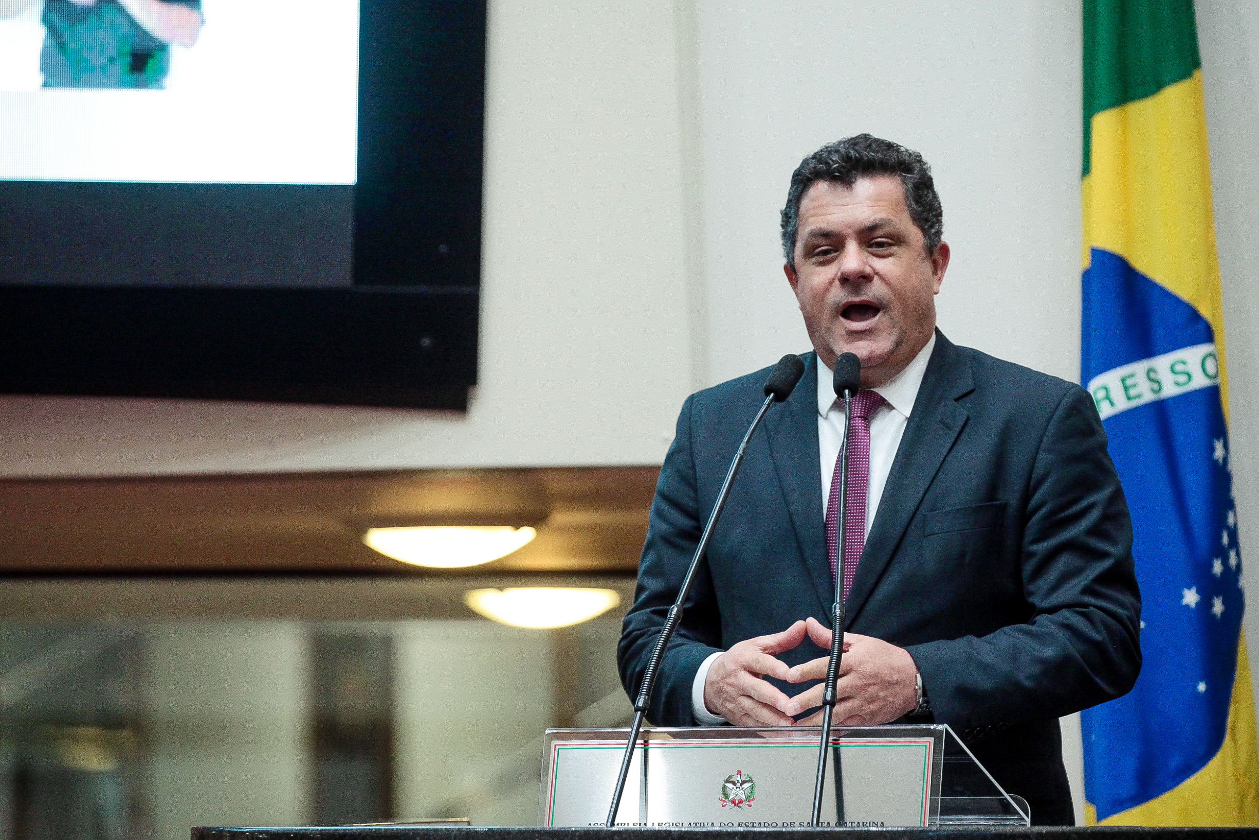 Deputado Ivan Naatz (PV)