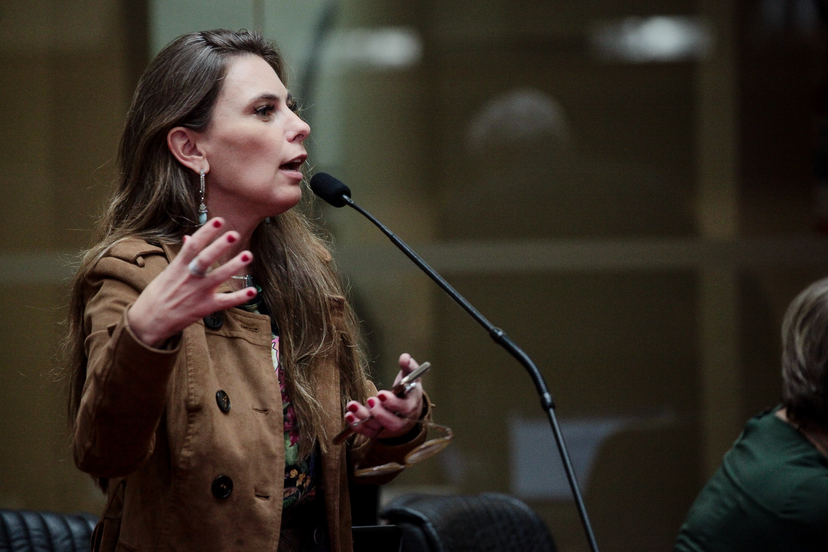 Deputada Paulinha (PDT)