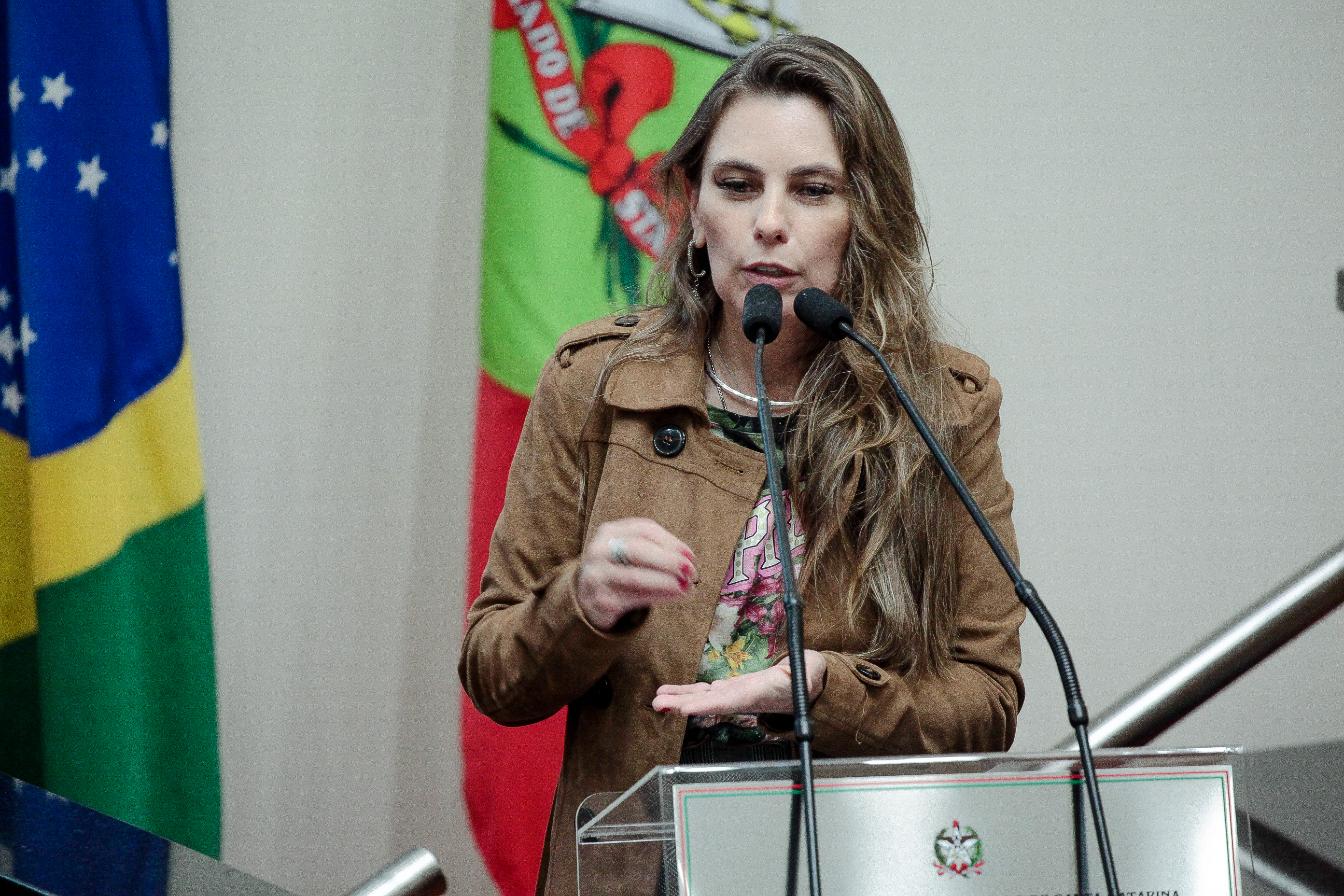 Deputada Paulinha (PDT)