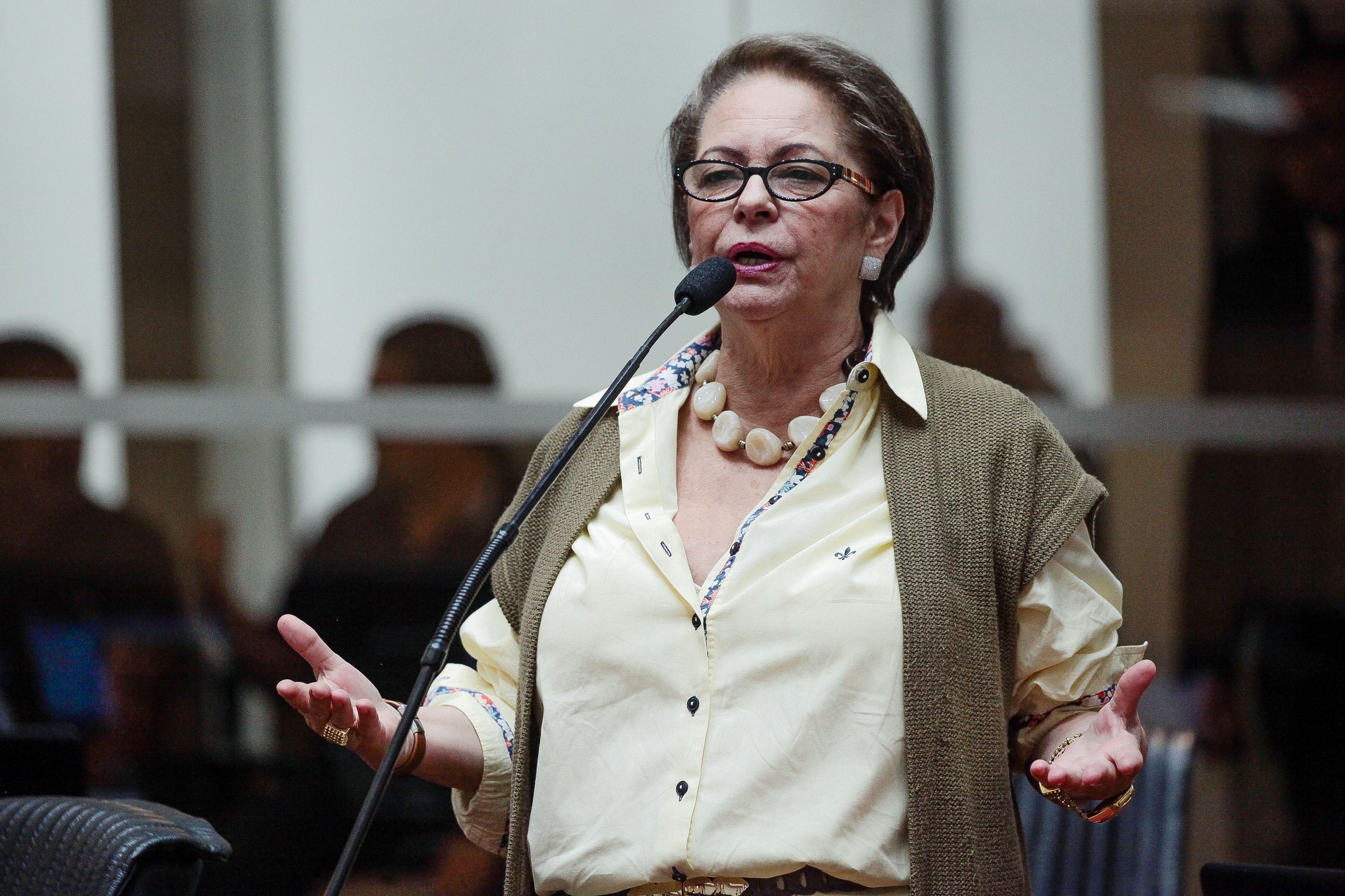 Deputada Ada de Luca (MDB)