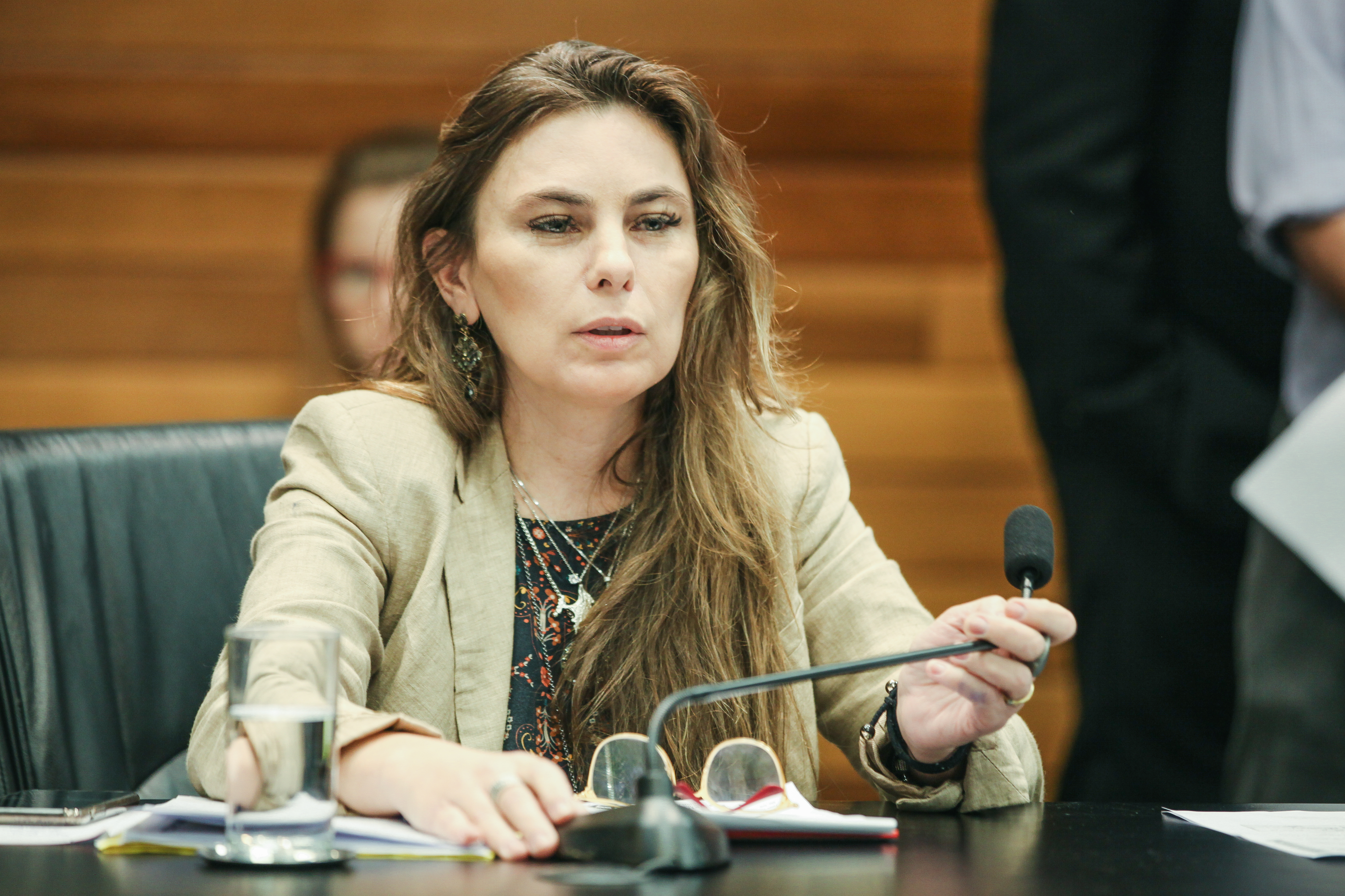 Deputada Paulinha (PDT)