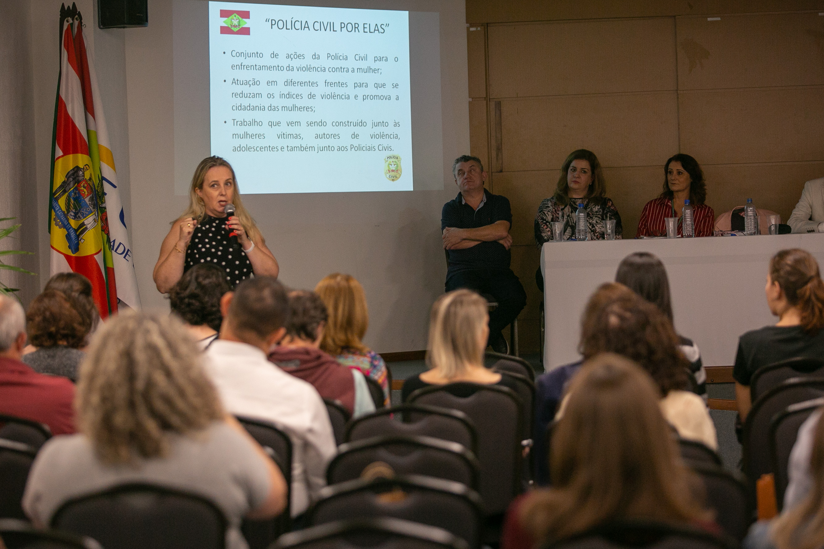 AUDIÊNCIA PÚBLICA – Violência Contra as Mulheres e ao Feminicídio