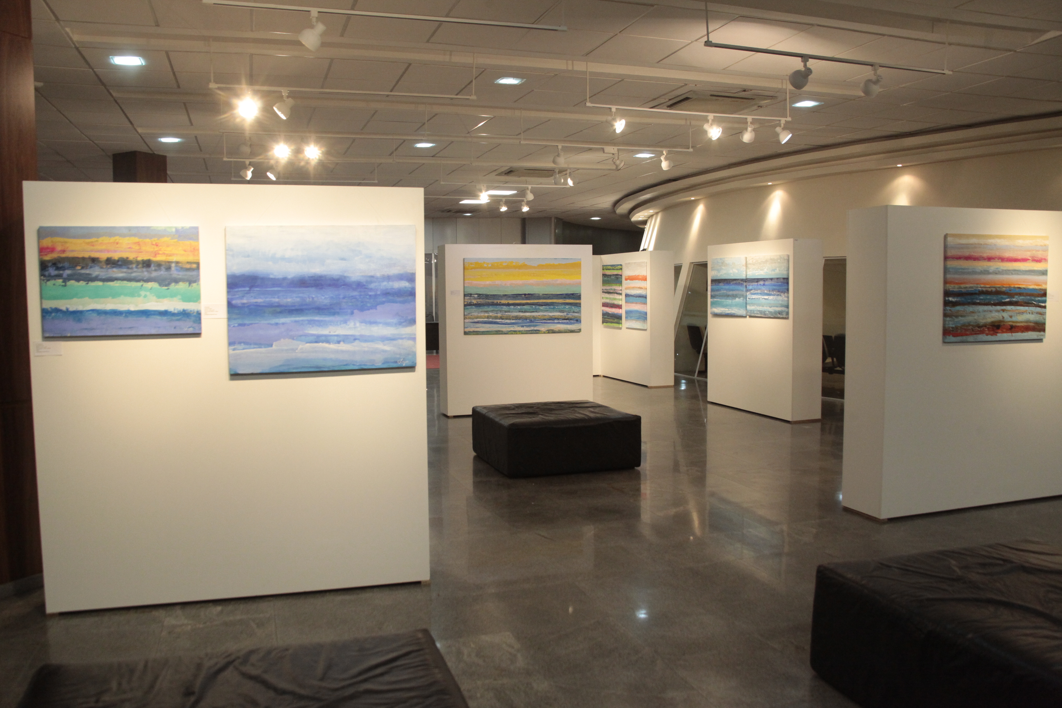 Exposição Lines Series Leysa Perotti