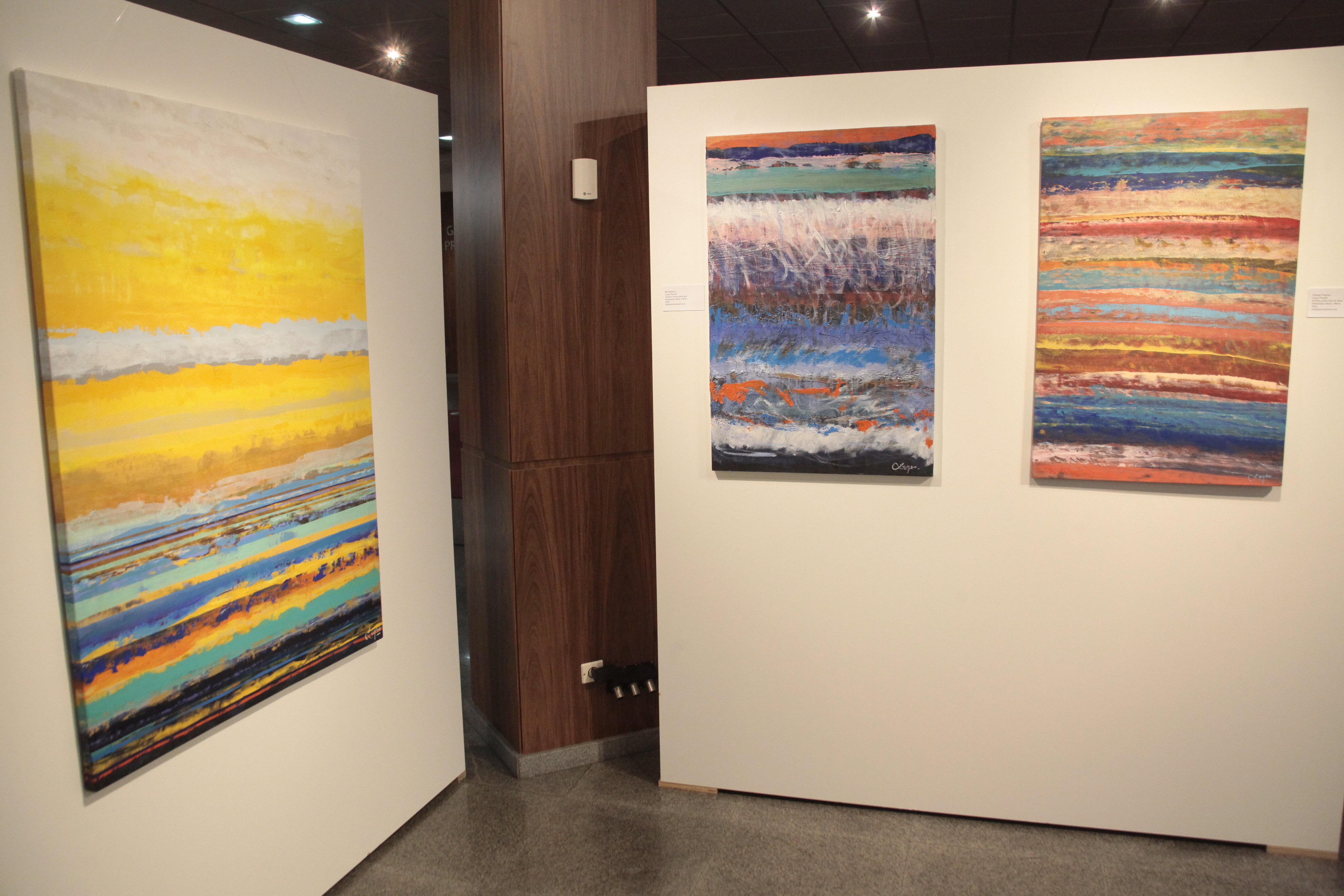Exposição Lines Series Leysa Perotti