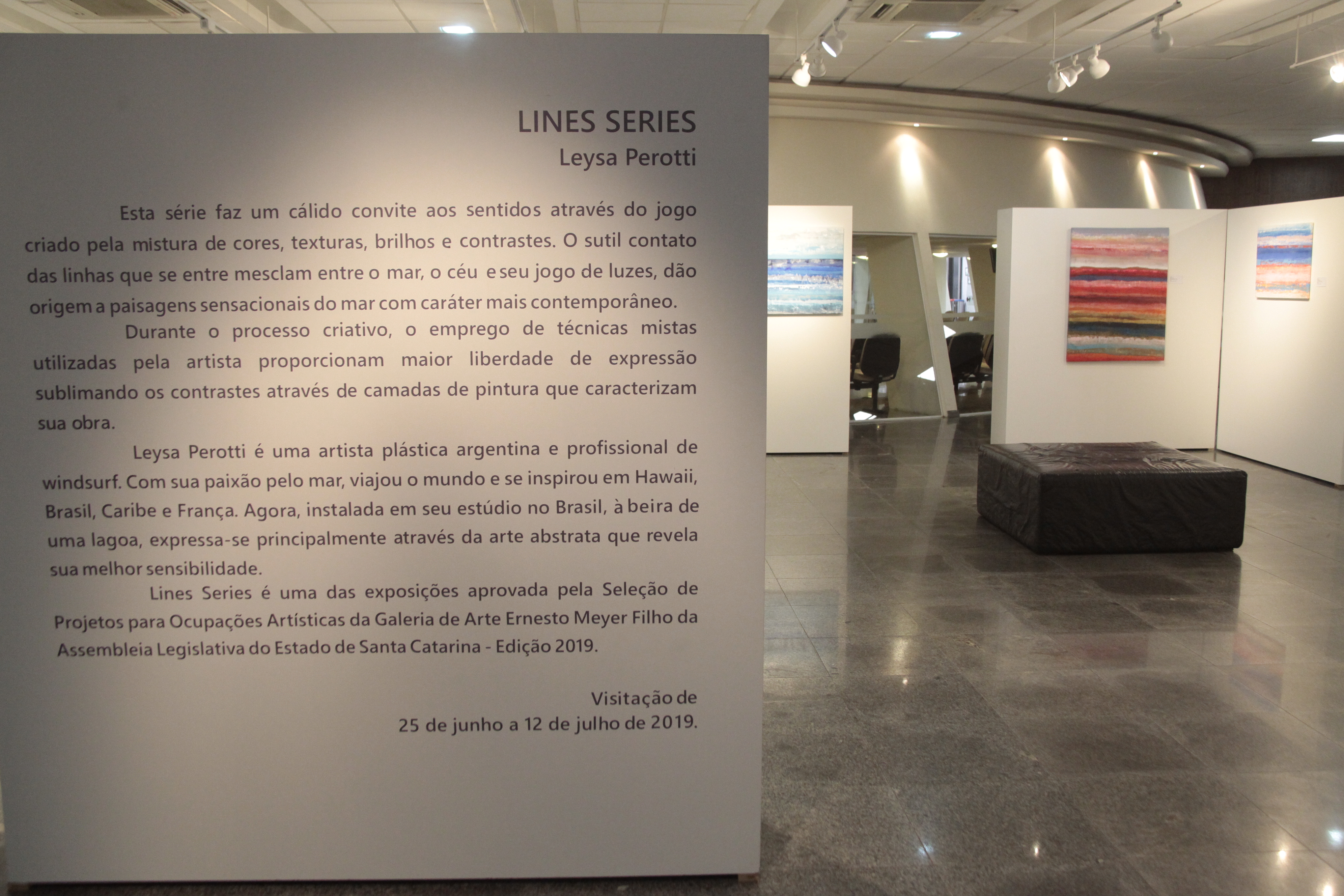 Exposição Lines Series Leysa Perotti