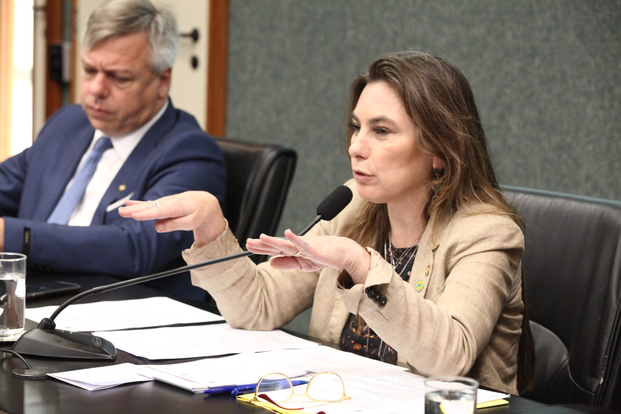 Deputada Paulinha apresentou iniciativa aos colegas da comissão