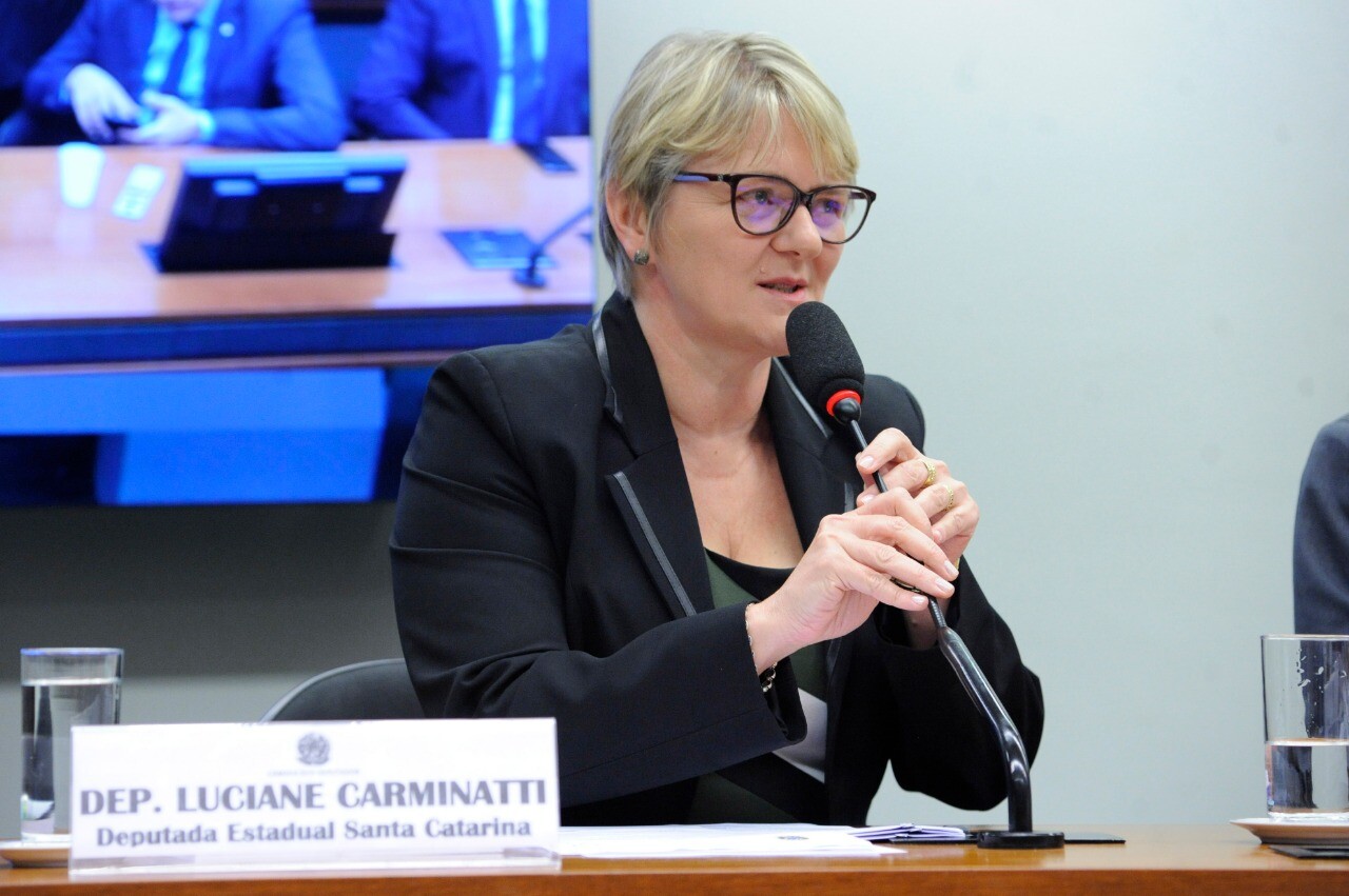 Luciane participa de debate sobre Plano Nacional de Educação na Câmara