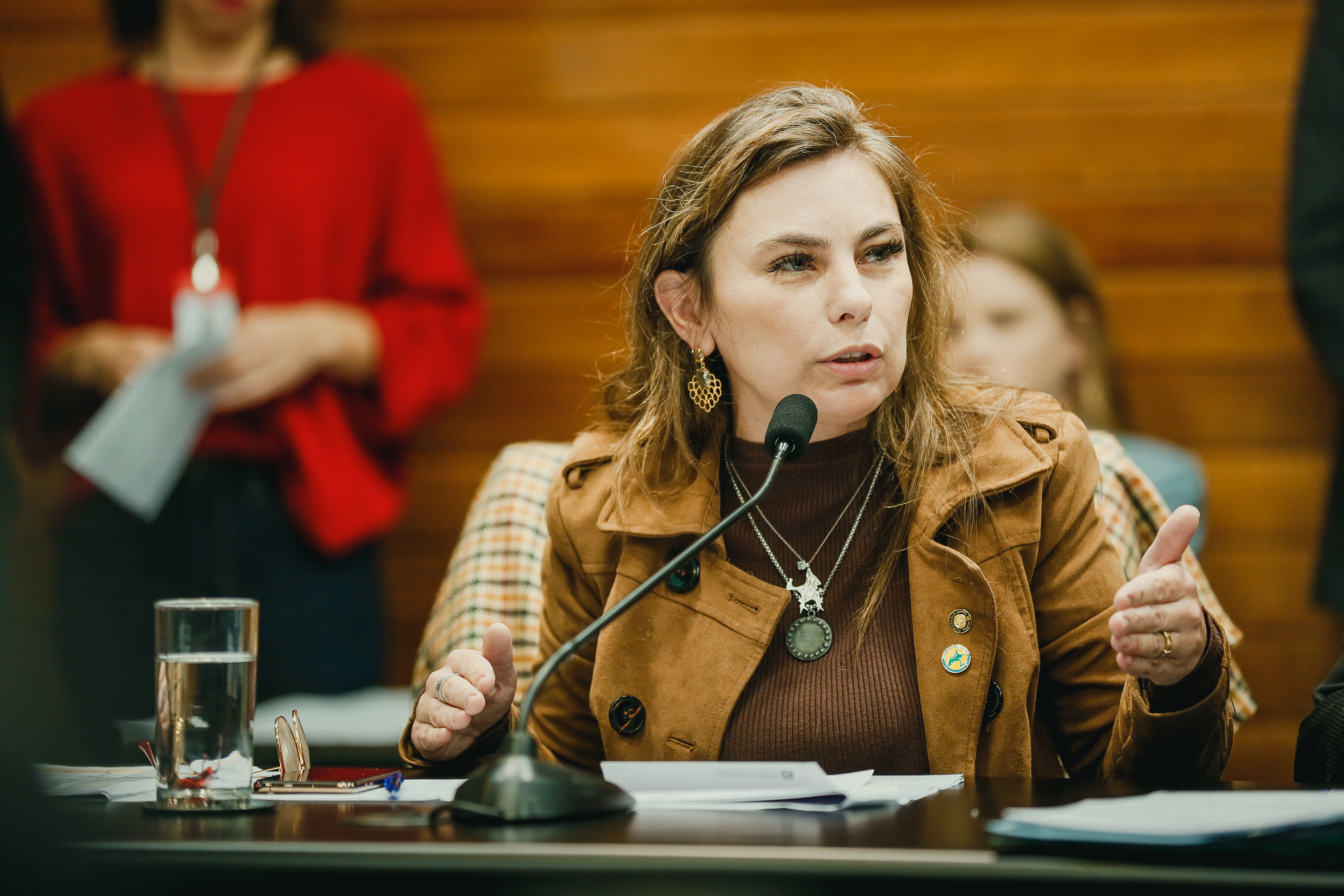 Deputada Paulinha (PDT)