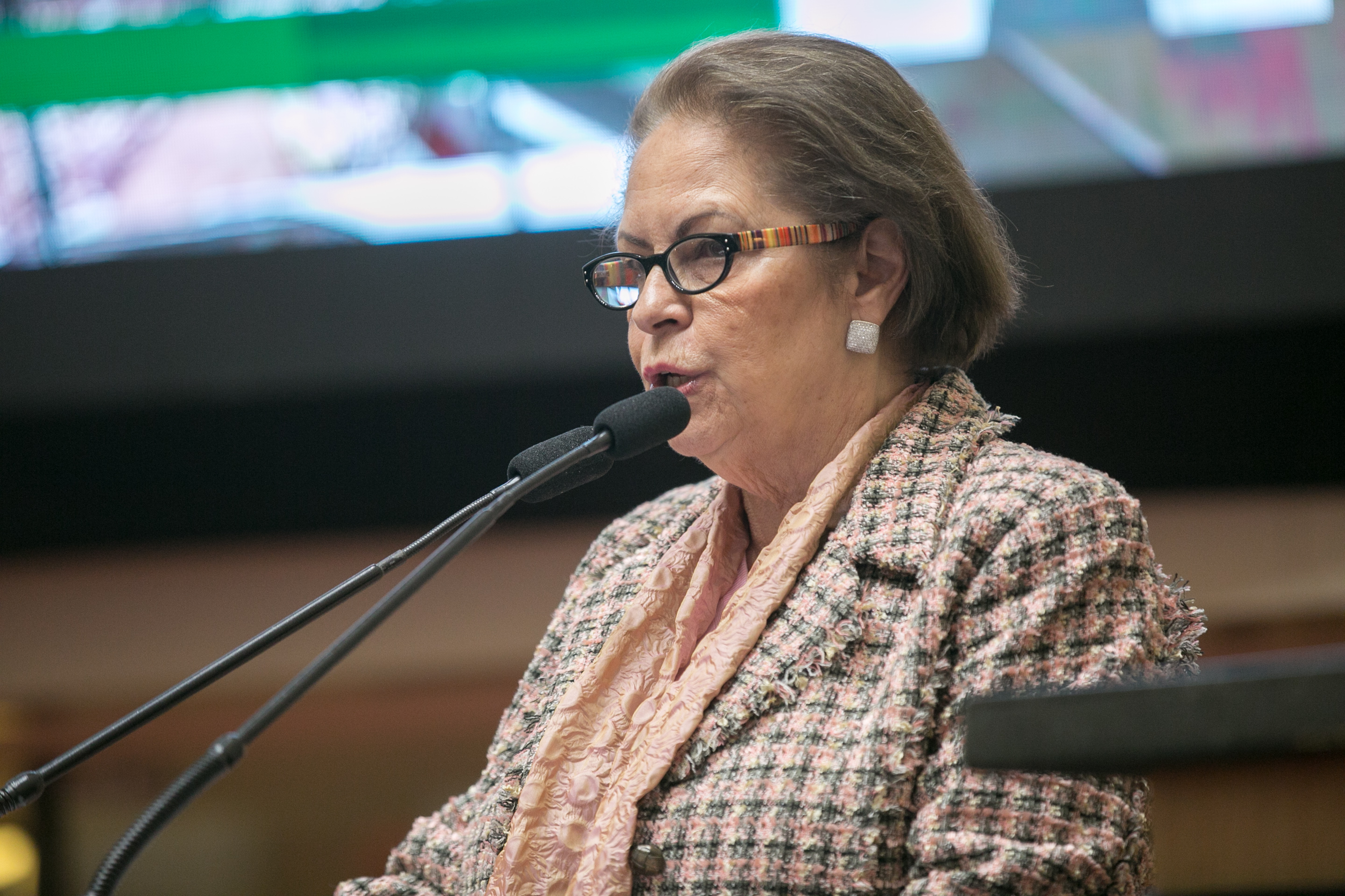 Deputada Ada De Luca (MDB)