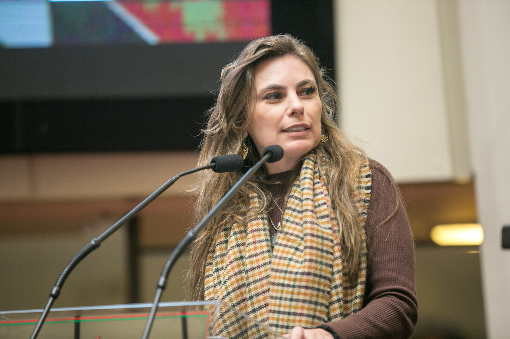 Deputada Paulinha