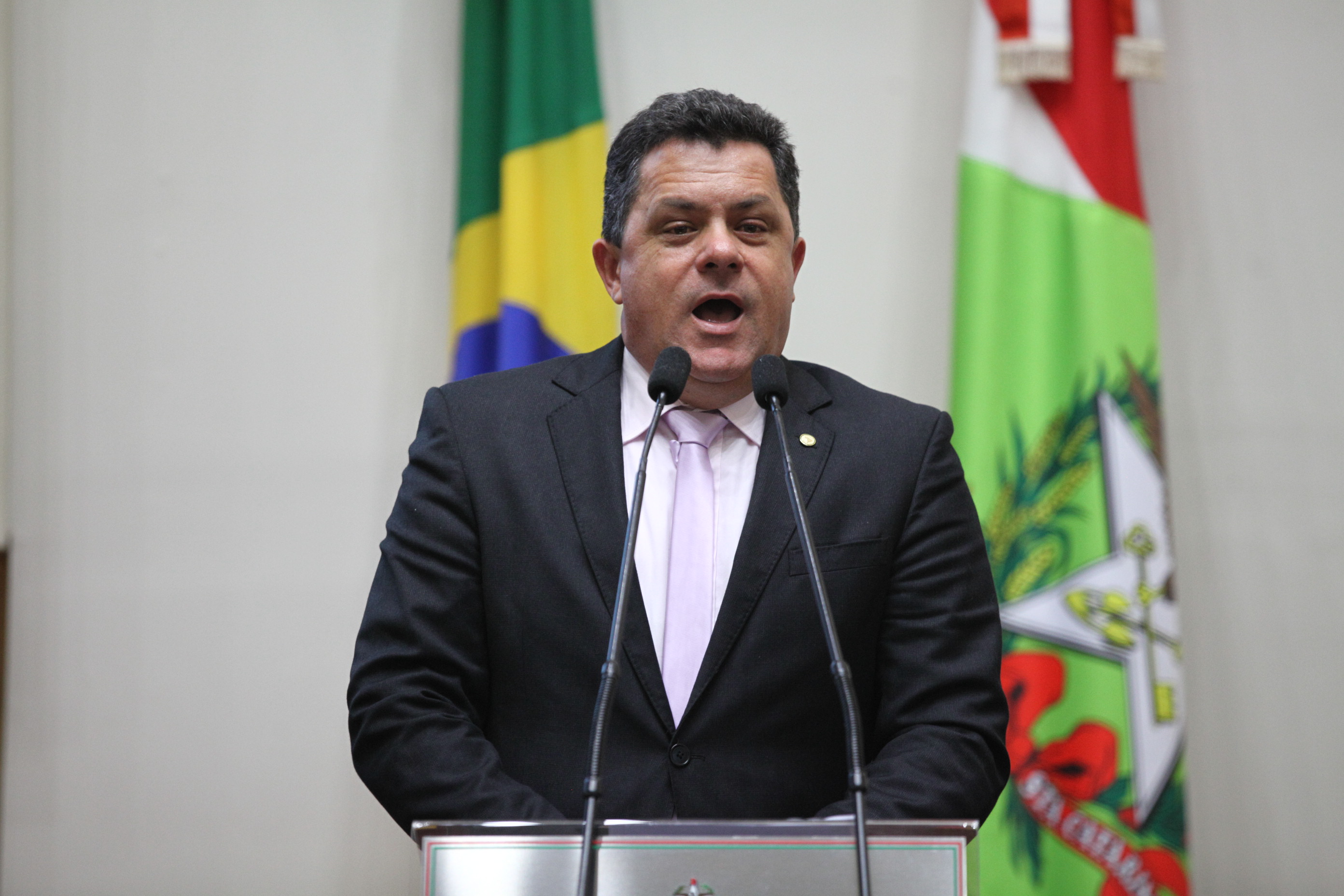 Sessão Ordinária em 03/07/2019 - Deputado Ivan Natz (PV)