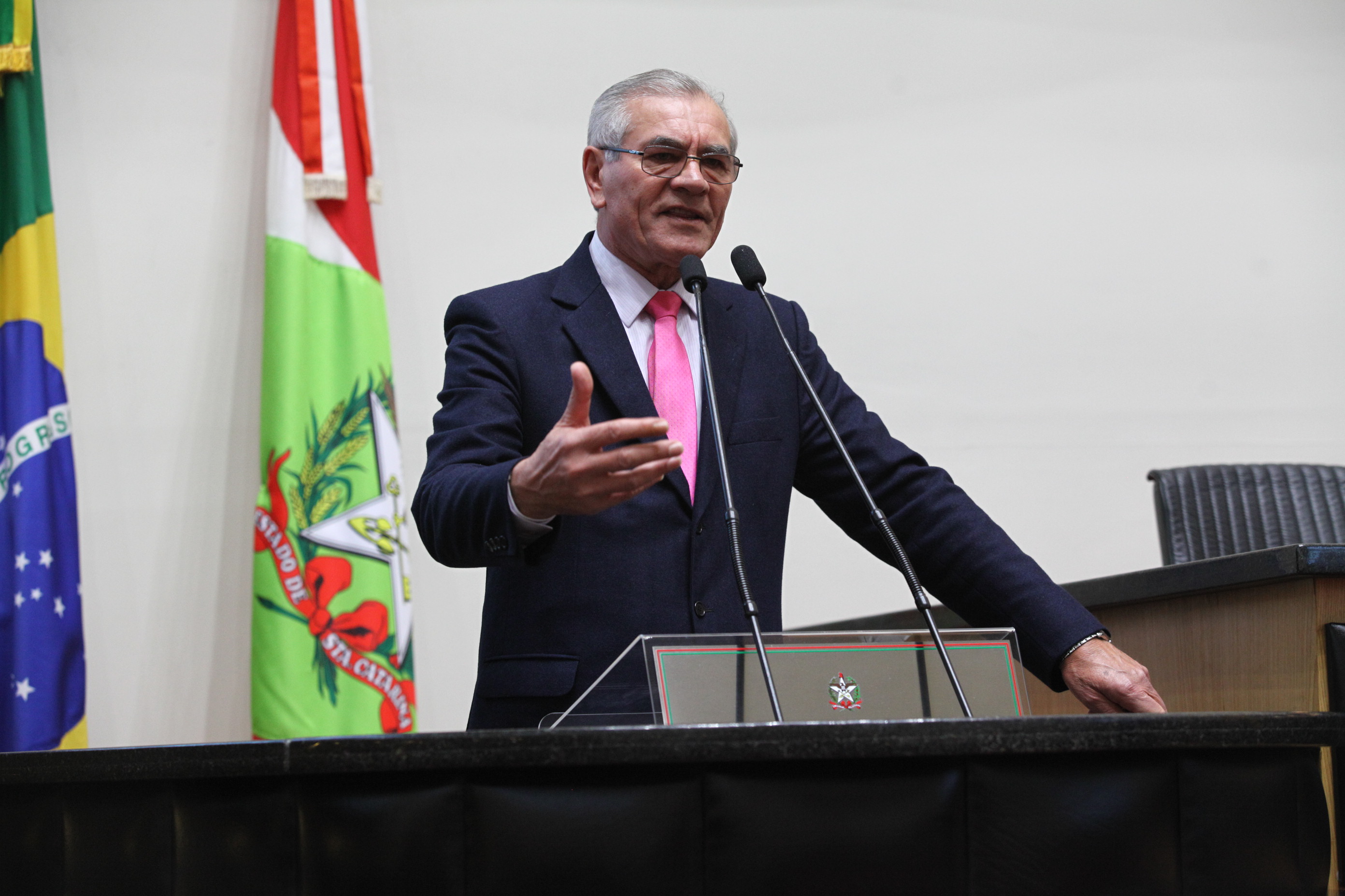 Sessão Ordinária em 04/07/2019 - Deputado Silvio Dreveck (PP)