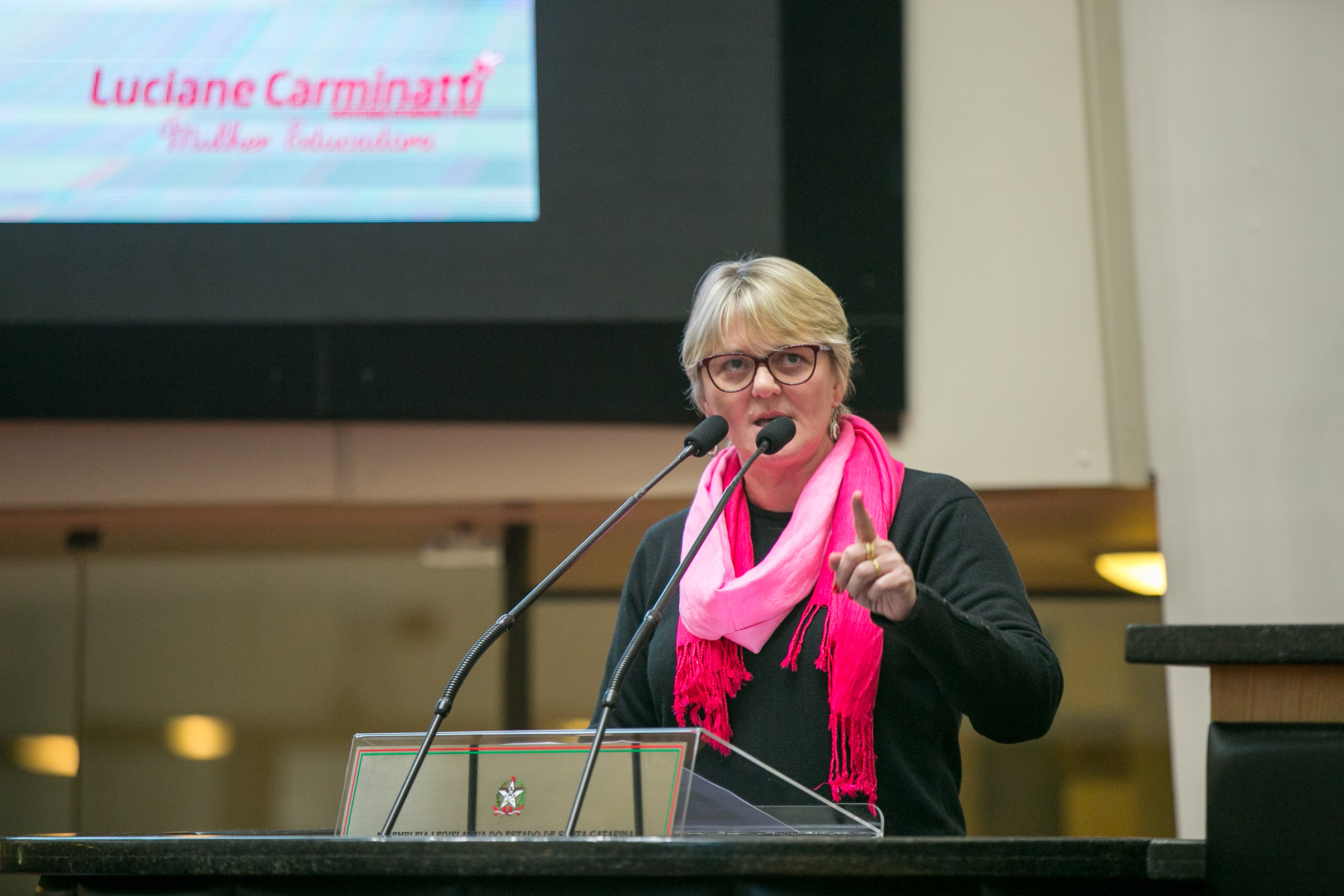 Deputada Luciane Carminatti (PT)