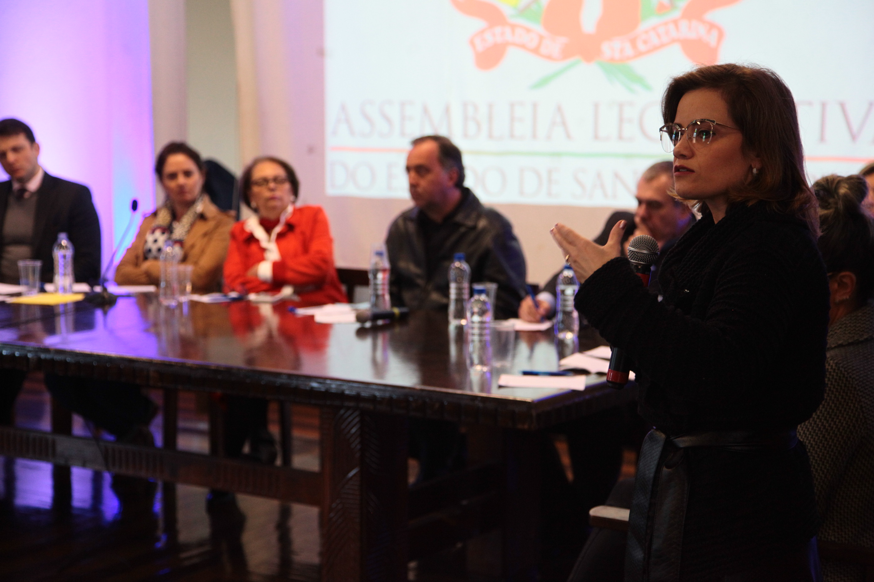 Audiência Pública que irá tratar sobre a 