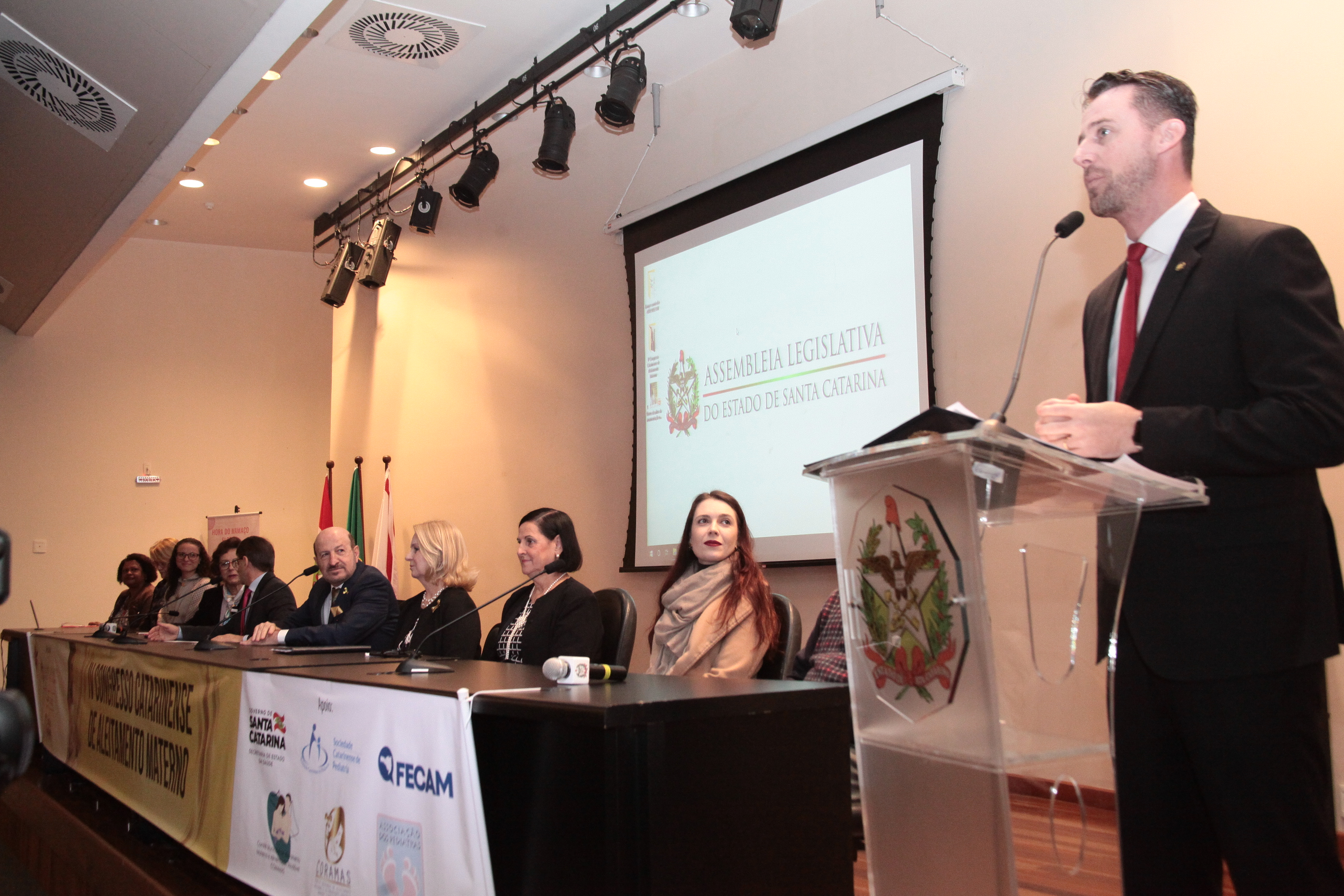 IV Congresso do Aleitamento Materno