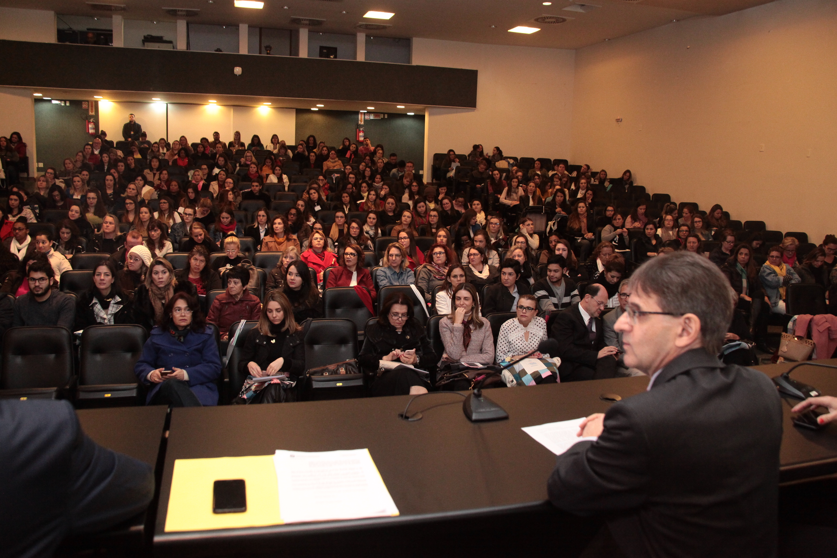 IV Congresso do Aleitamento Materno