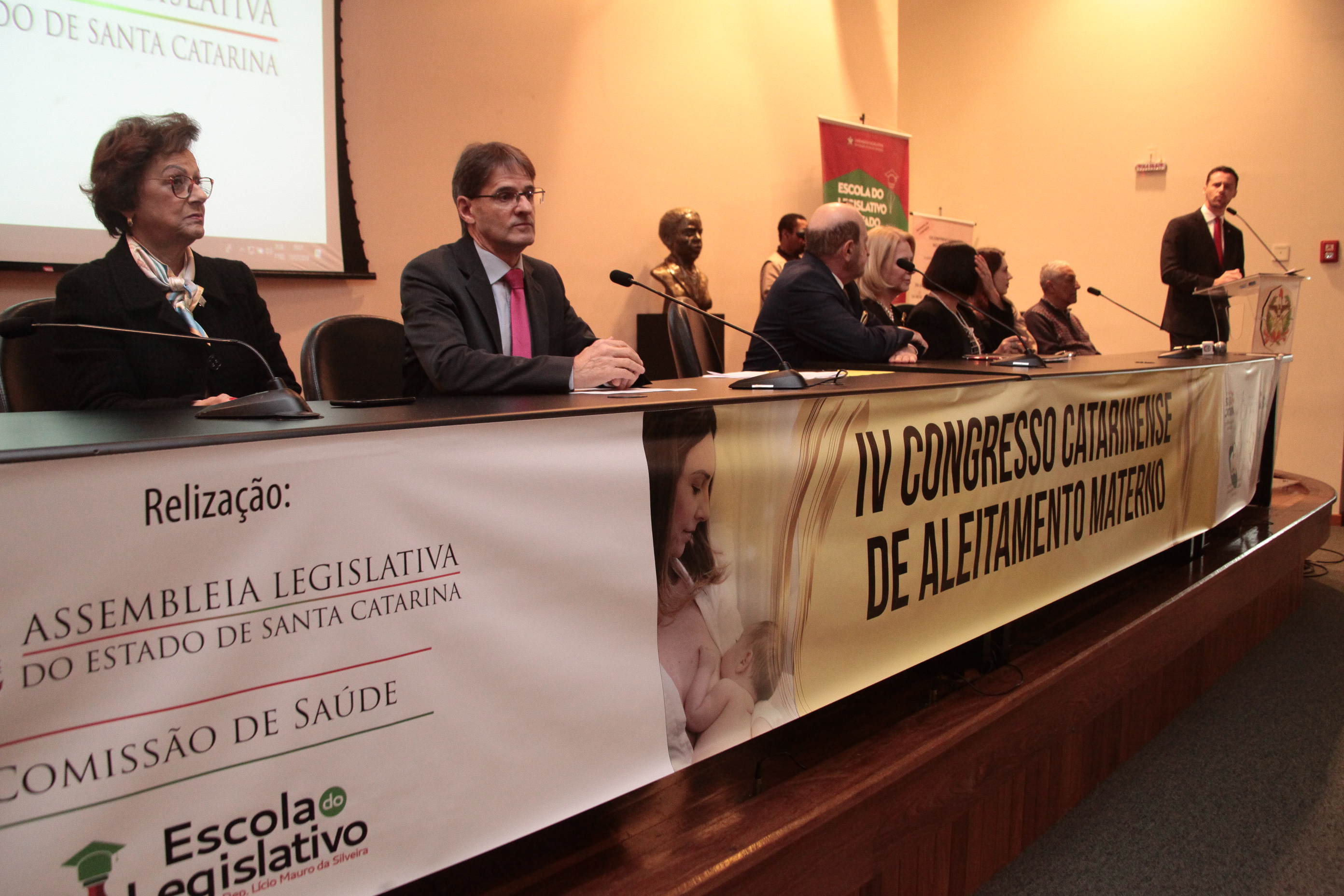 IV Congresso do Aleitamento Materno