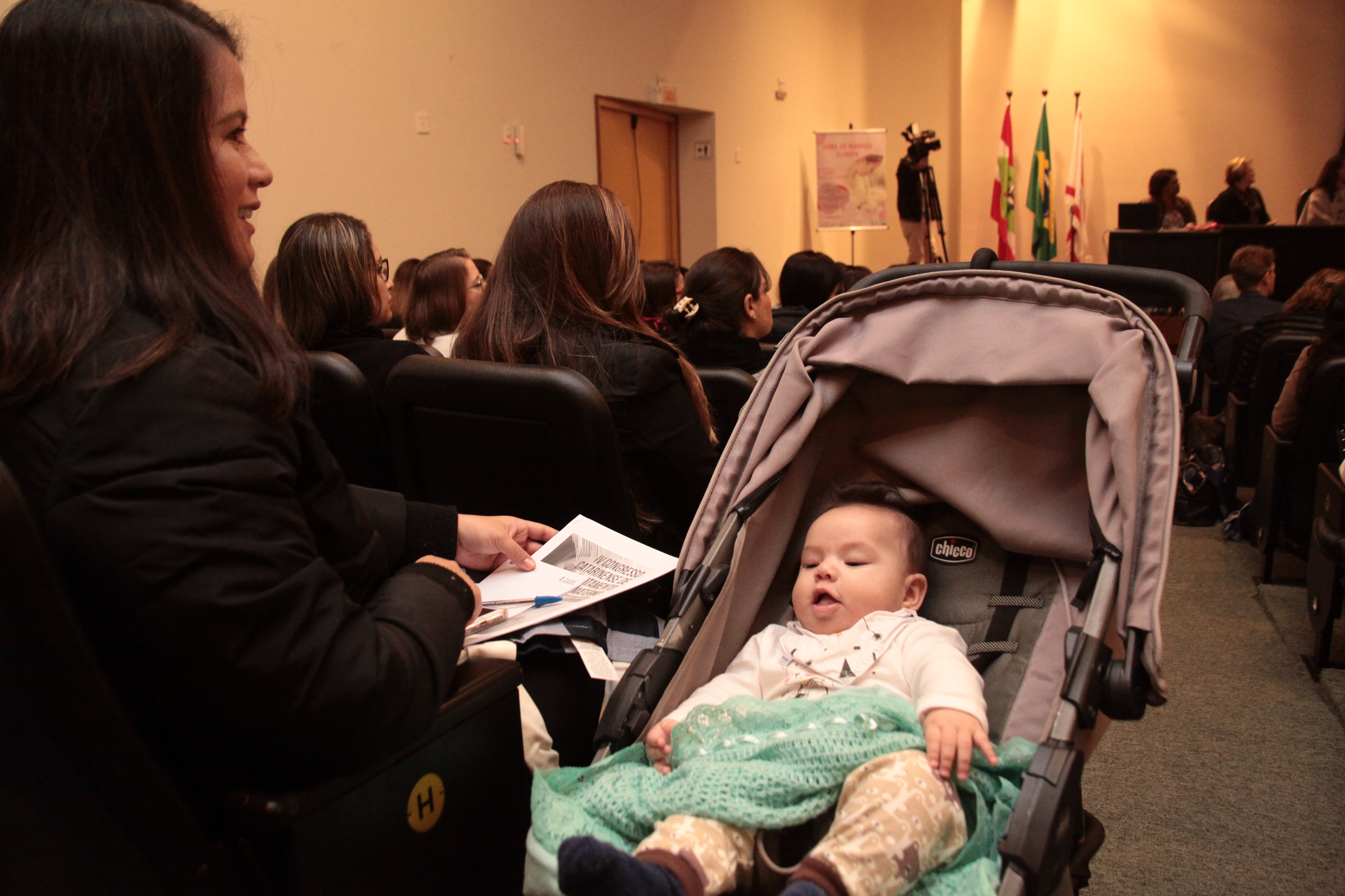 IV Congresso do Aleitamento Materno