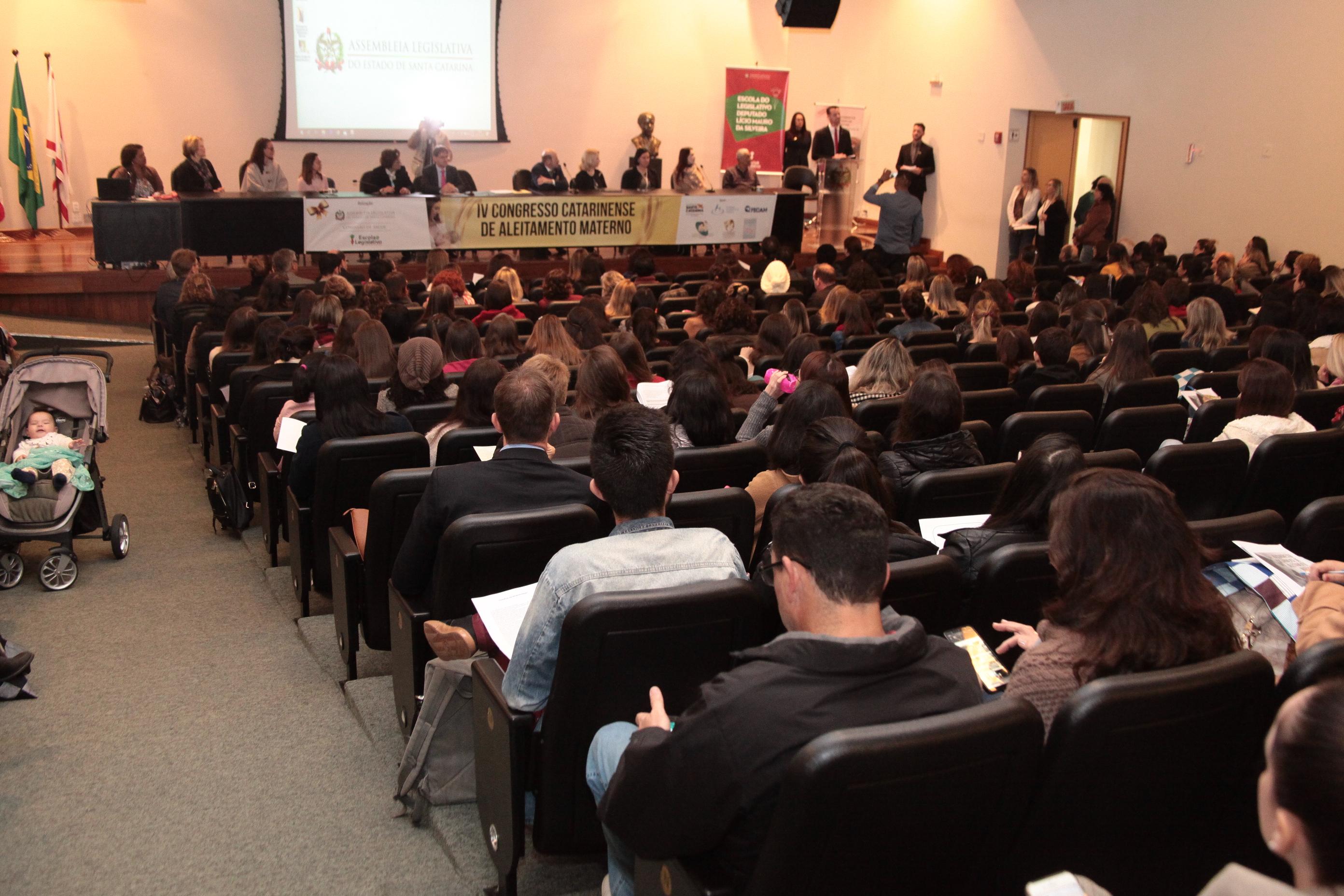 IV Congresso do Aleitamento Materno