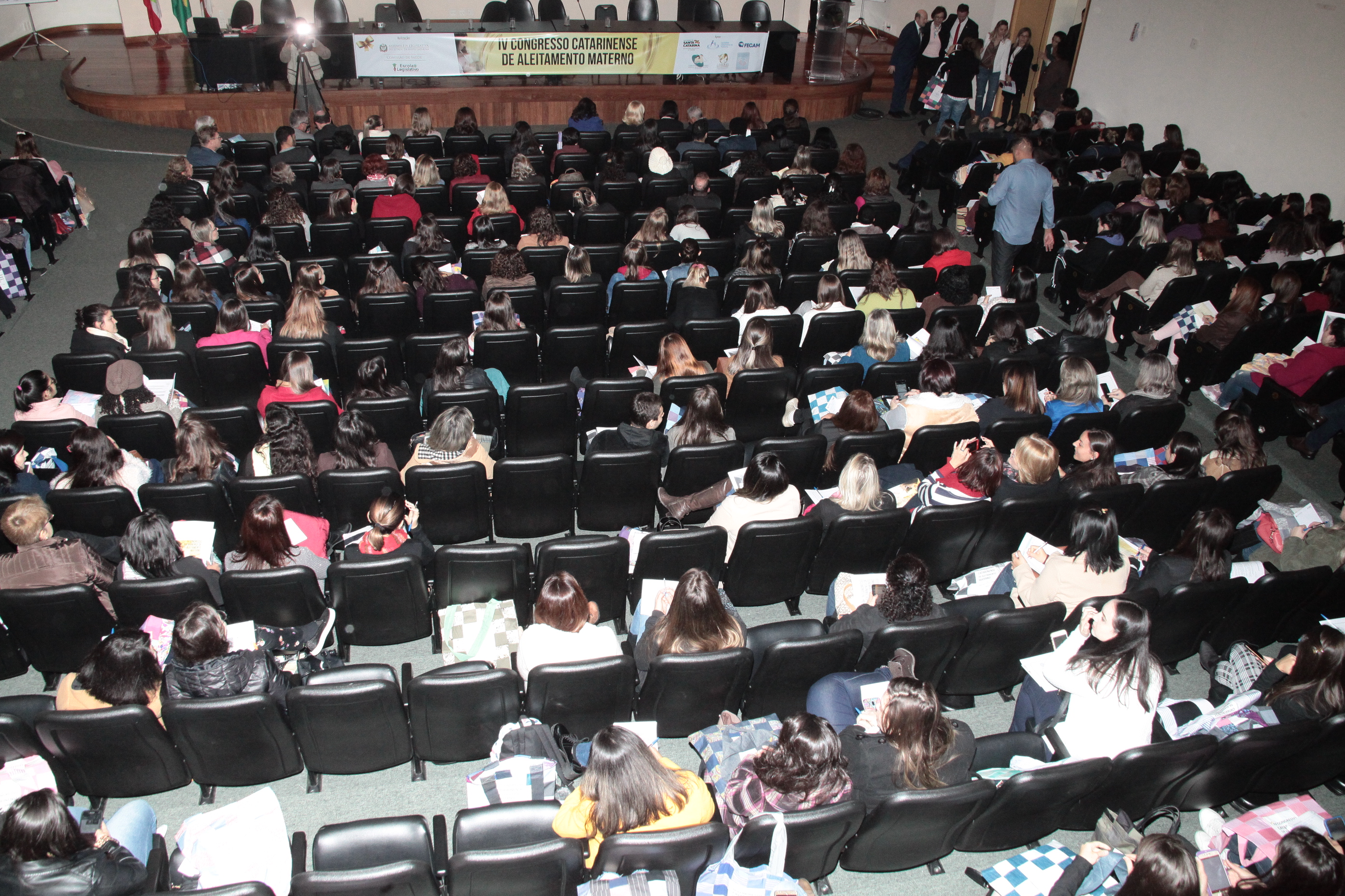 IV Congresso do Aleitamento Materno