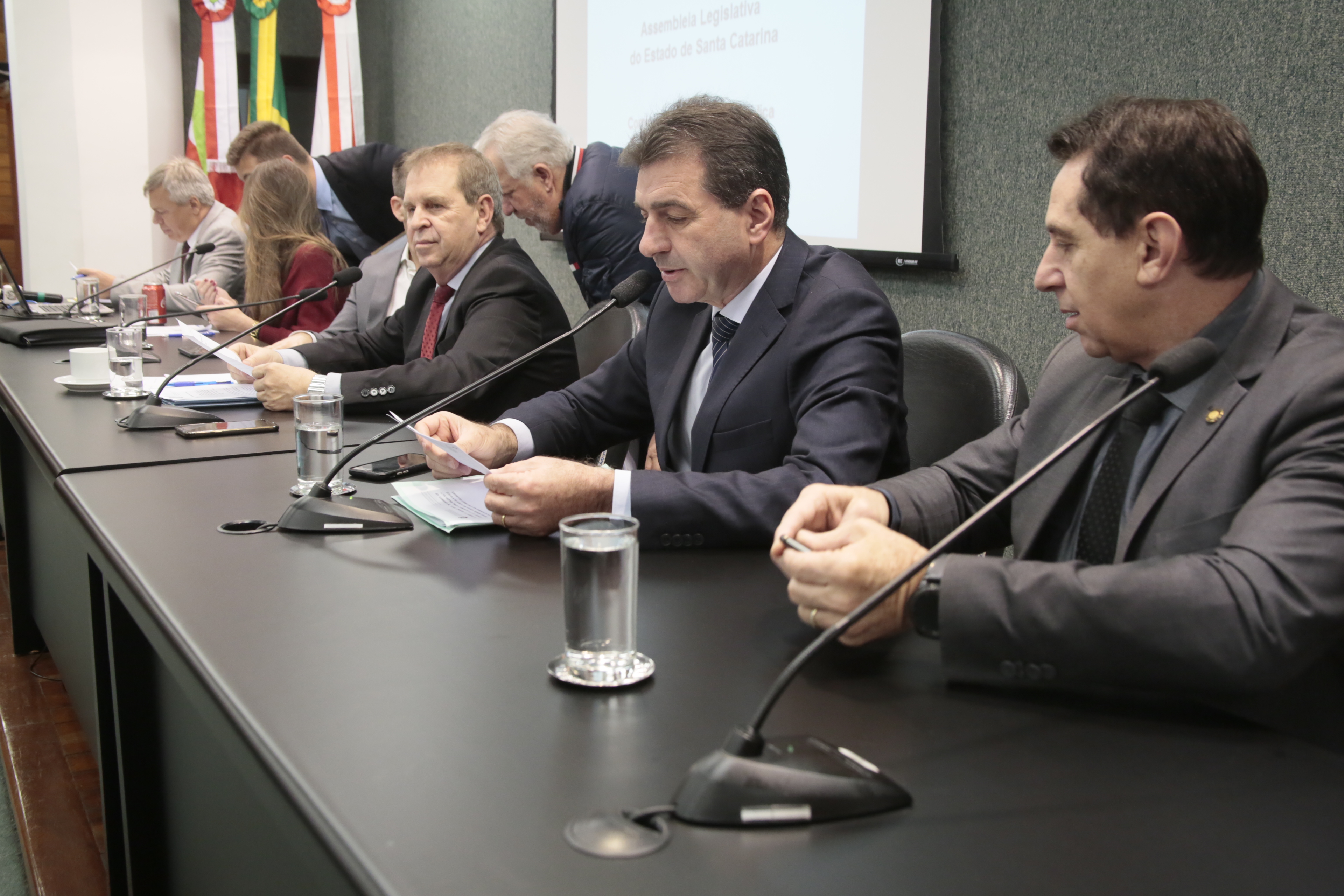 Comissão de Segurança Pública