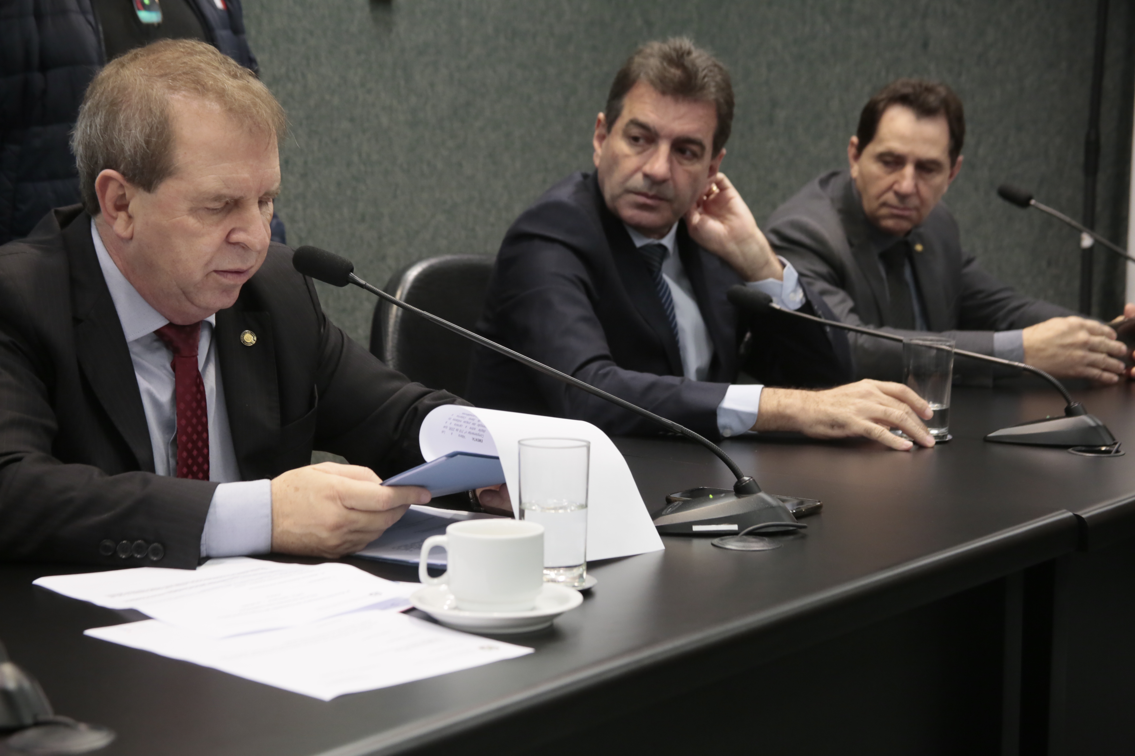 Comissão de Segurança Pública